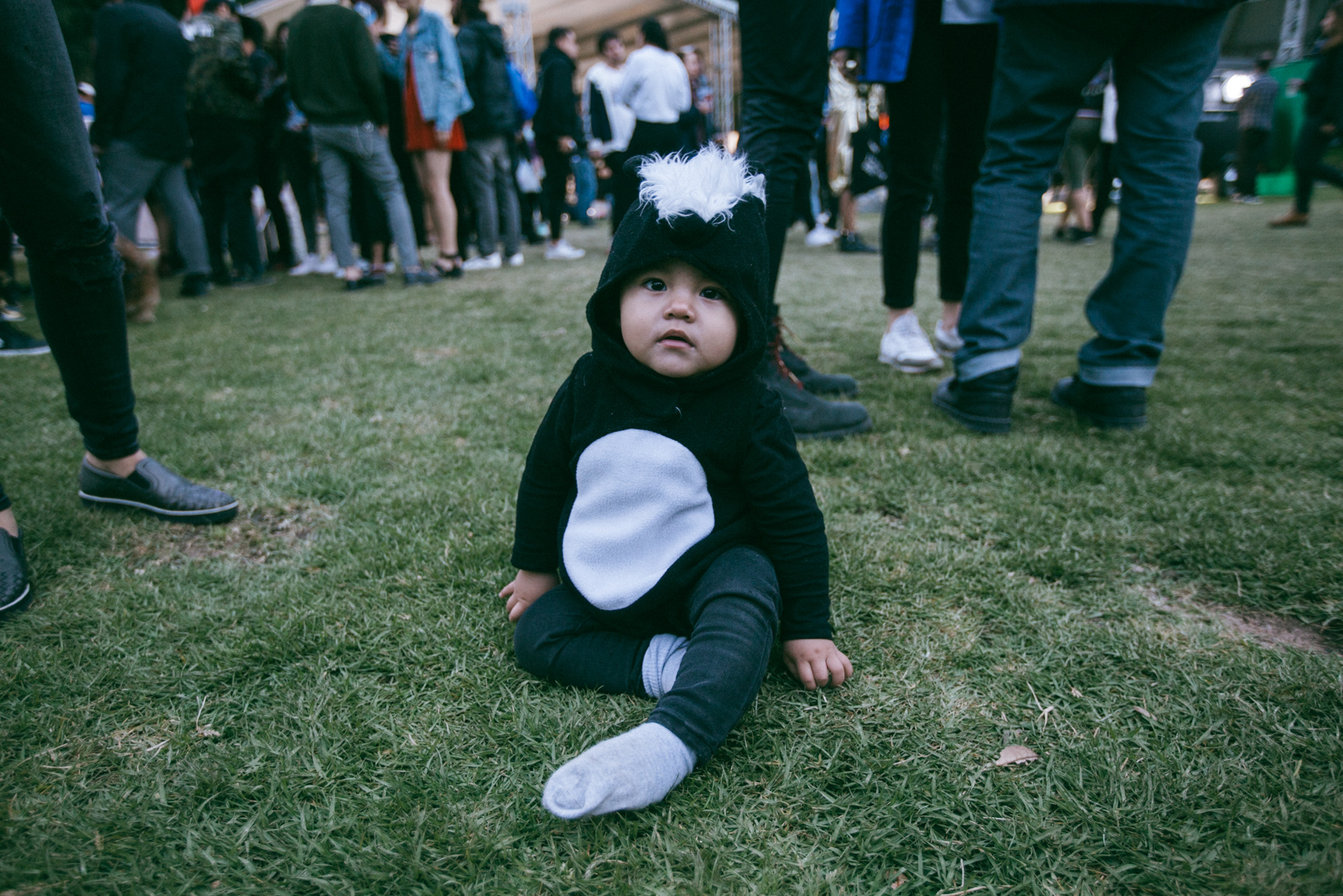 Nrmal2017 Domingo 82 of 164