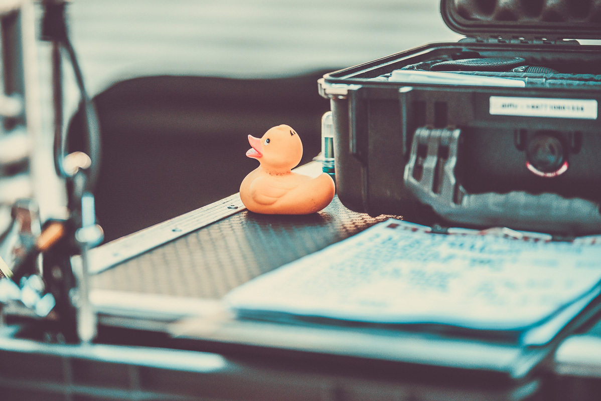 Glass Animals Greek Theatre Berkeley 092217 Erika Reinsel 17