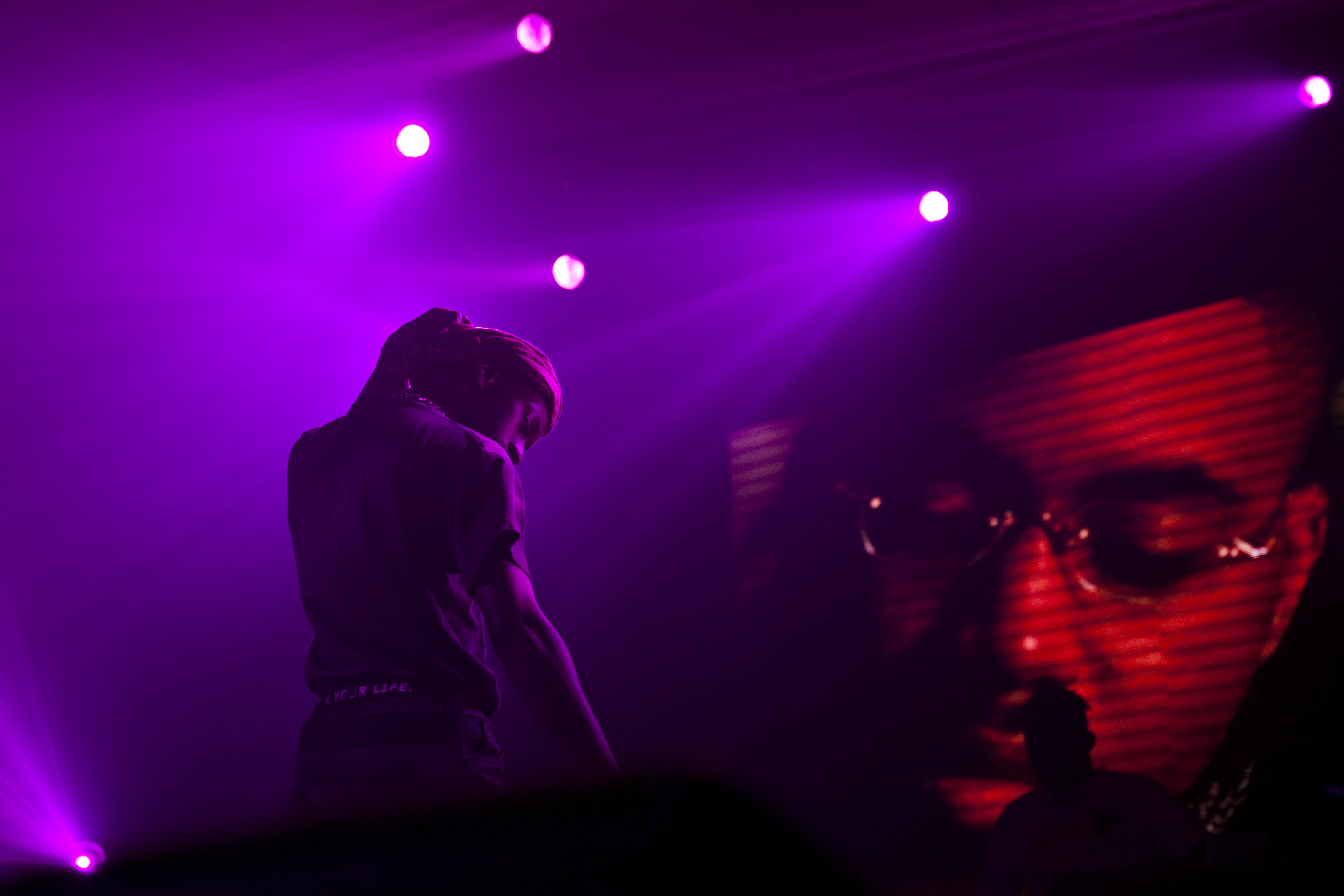 Gold Link Chloe Newman 01