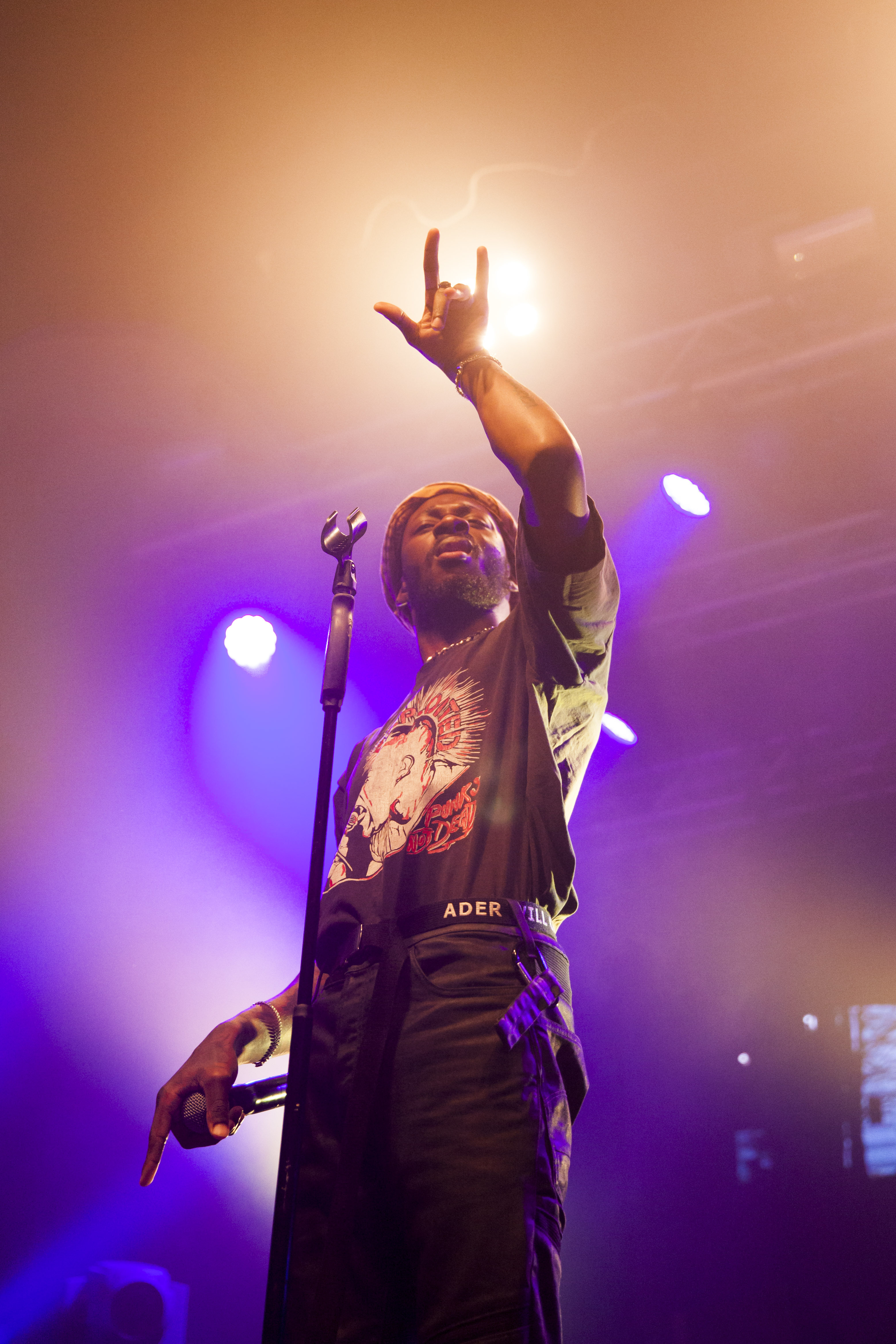 Gold Link Chloe Newman 33