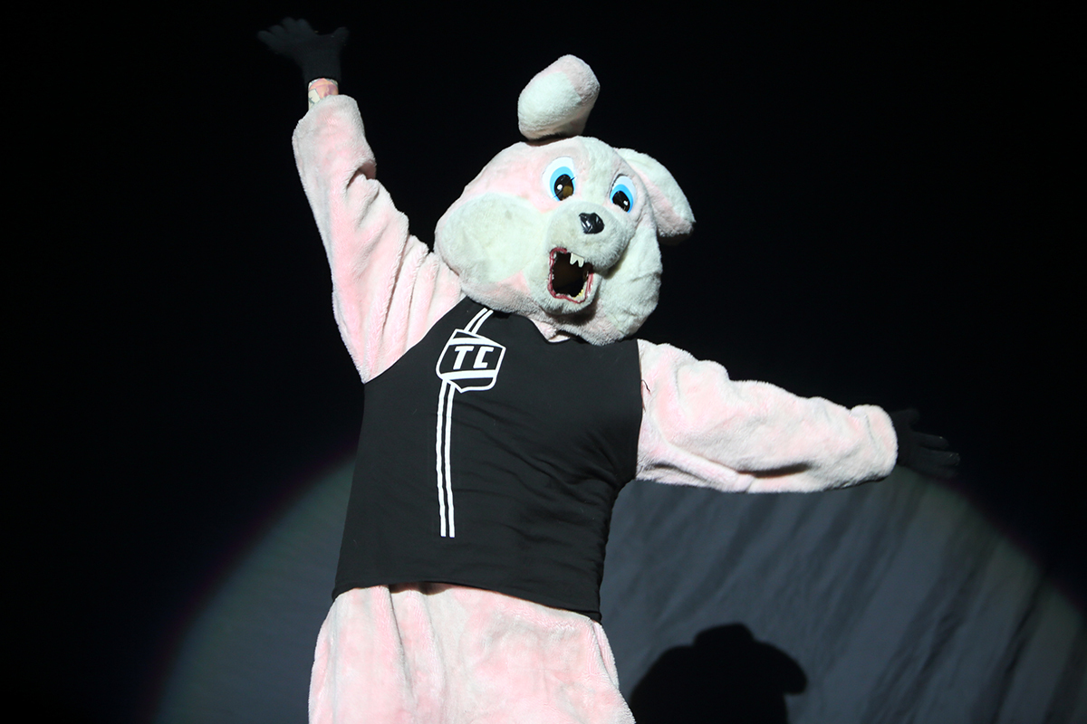 Green day 8217 o2 bc01