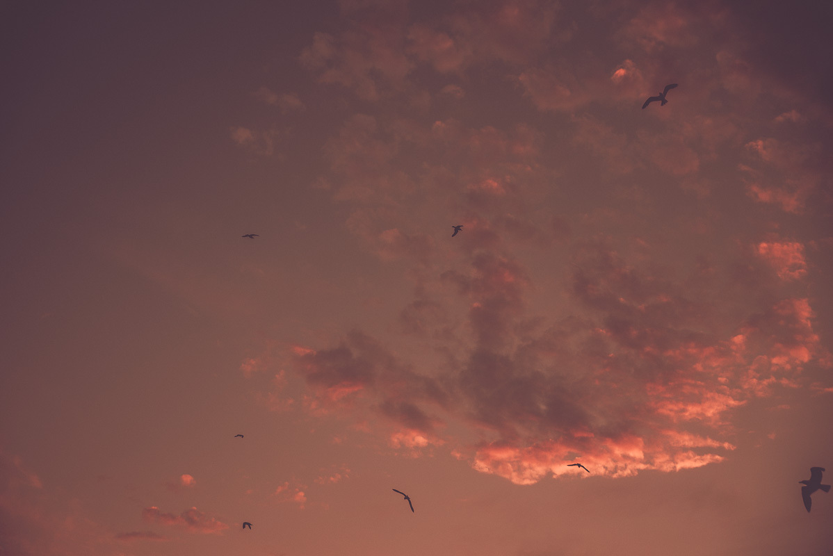 Sky ID10 T Fest Shoreline Amphitheatre Mountain View 06 24 25 17 Erika Reinsel 50