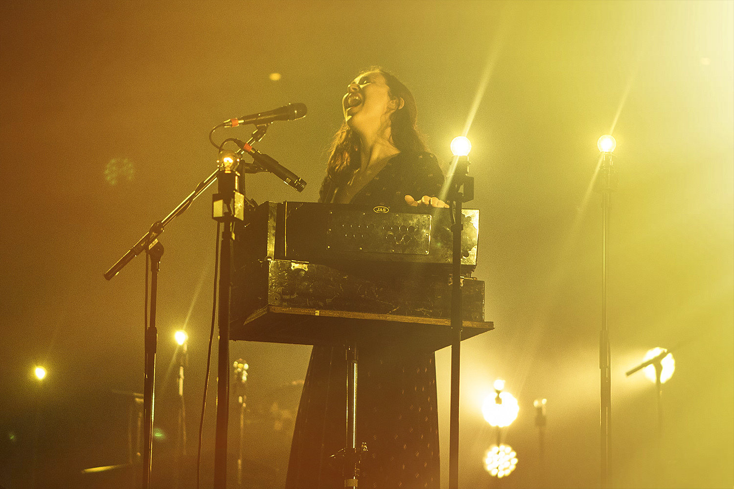 Lisa Hannigan 9 Rounhouse London 28 01 17 Chris Almeida