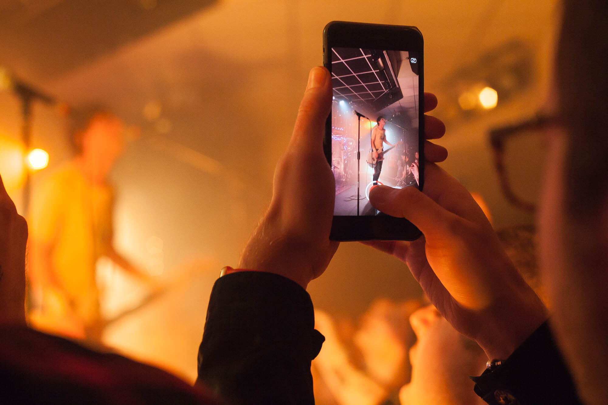 The Cribs Dream Wife Meg Lavender 8423