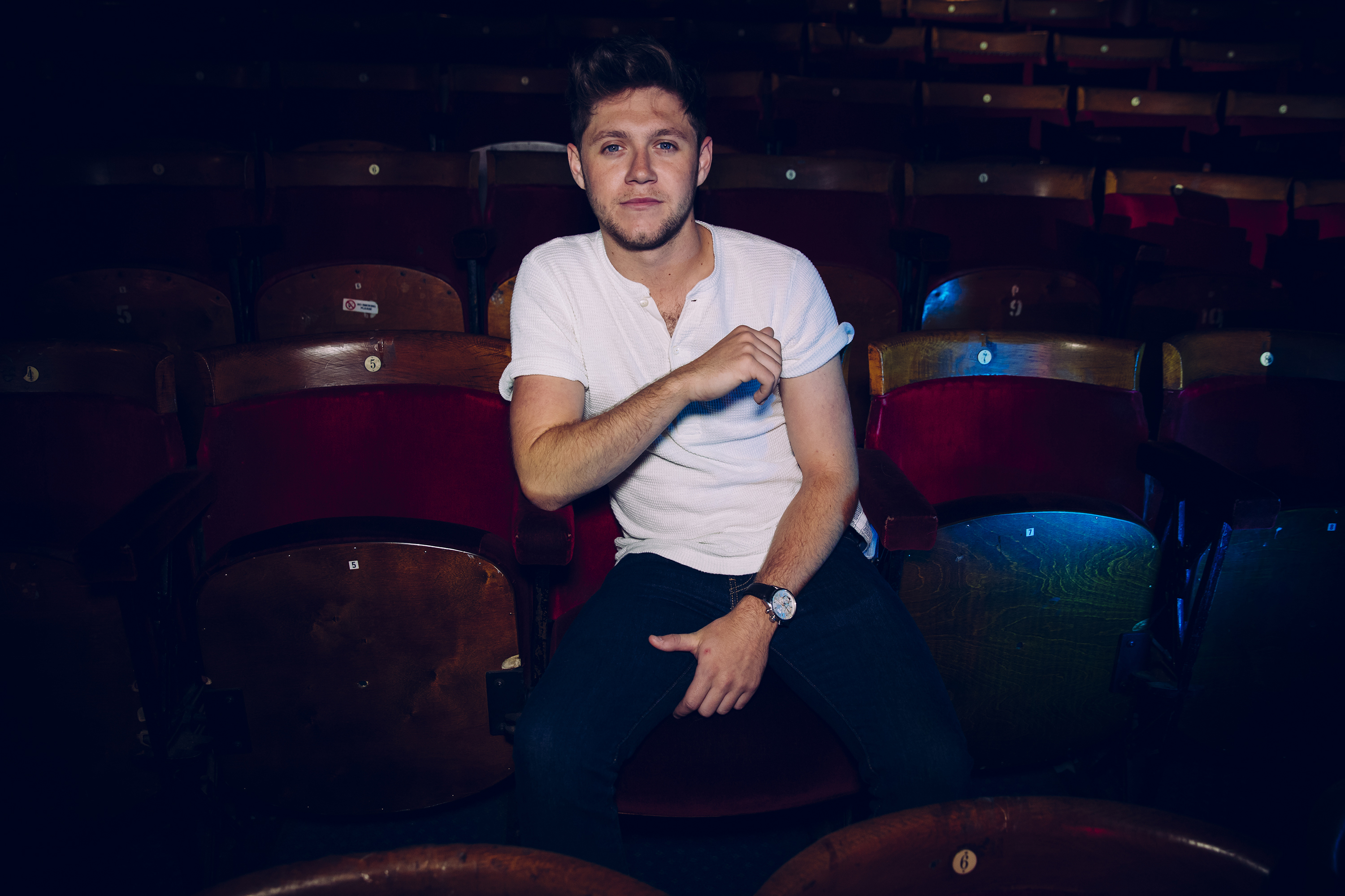 Niall horan portrait bc02