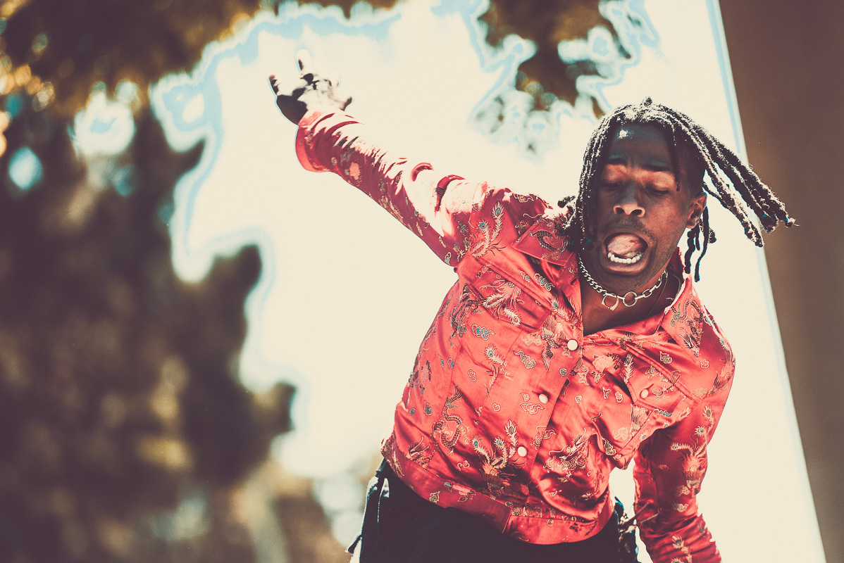 Duckwrth Phono Del Sol Potrero Del Sol Park San Francisco 061717 Erika Reinsel 21