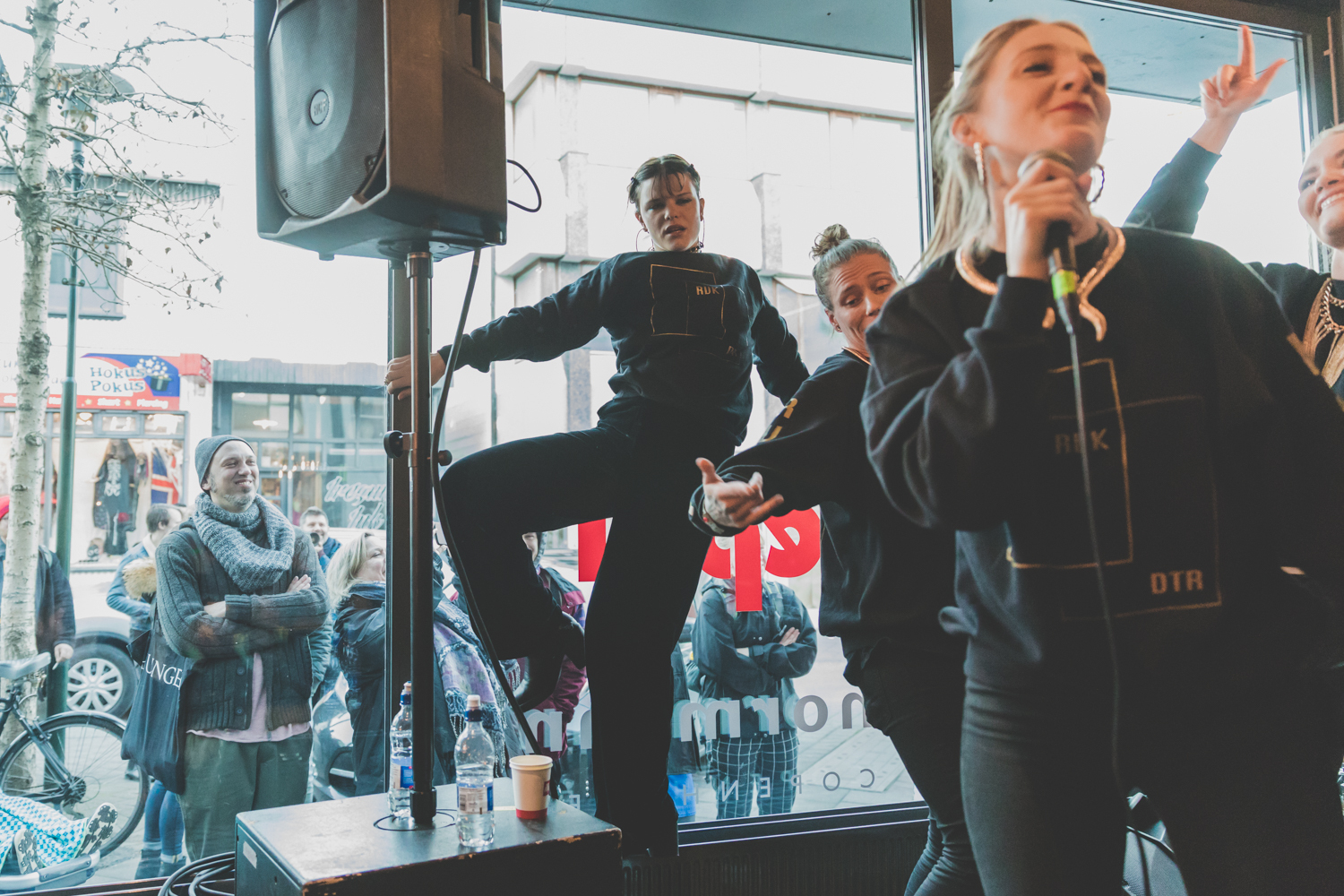 Reykjavikurdaetur 06