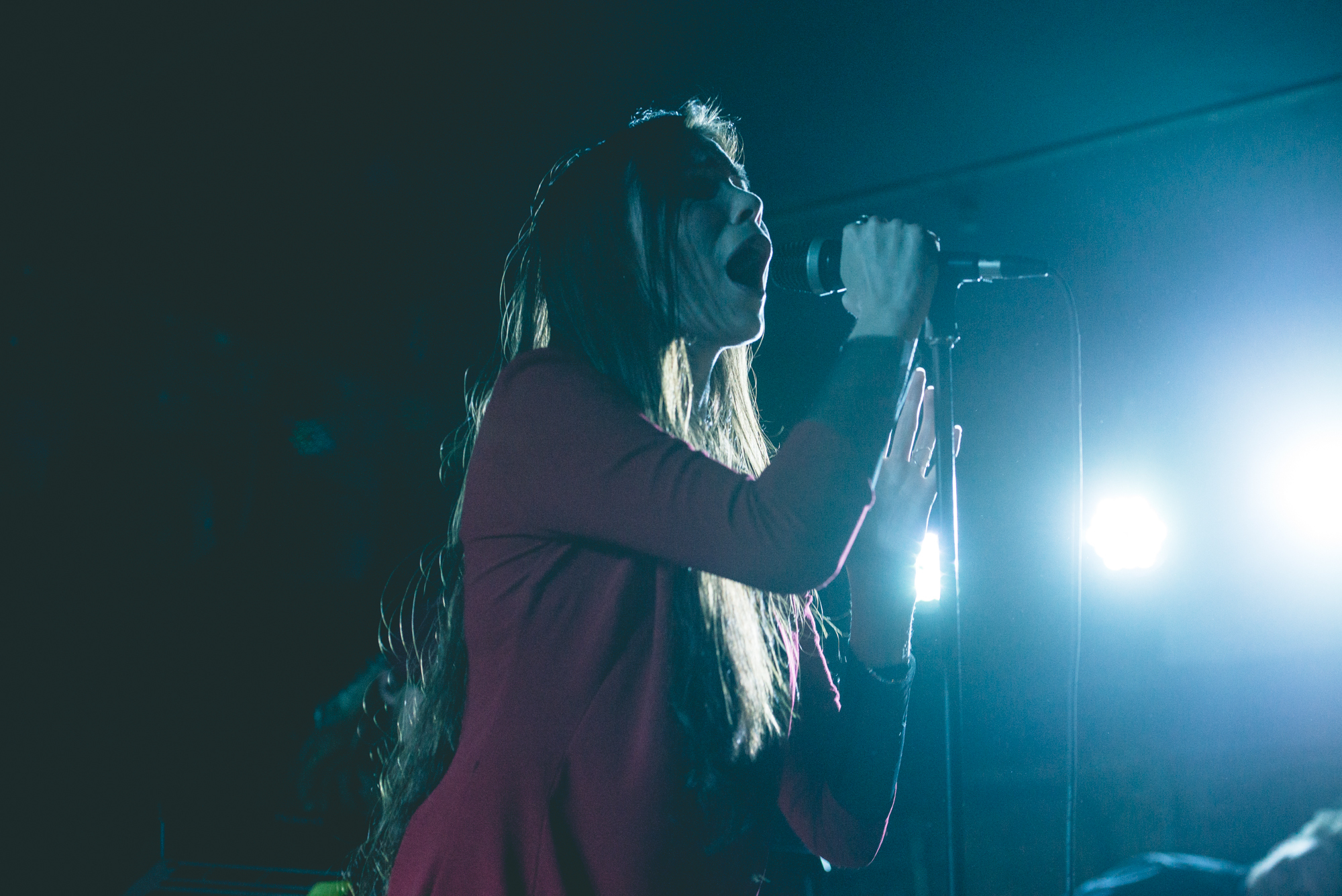 Skott Mercury Lounge 3 23 17 Julia Drummond 2 12