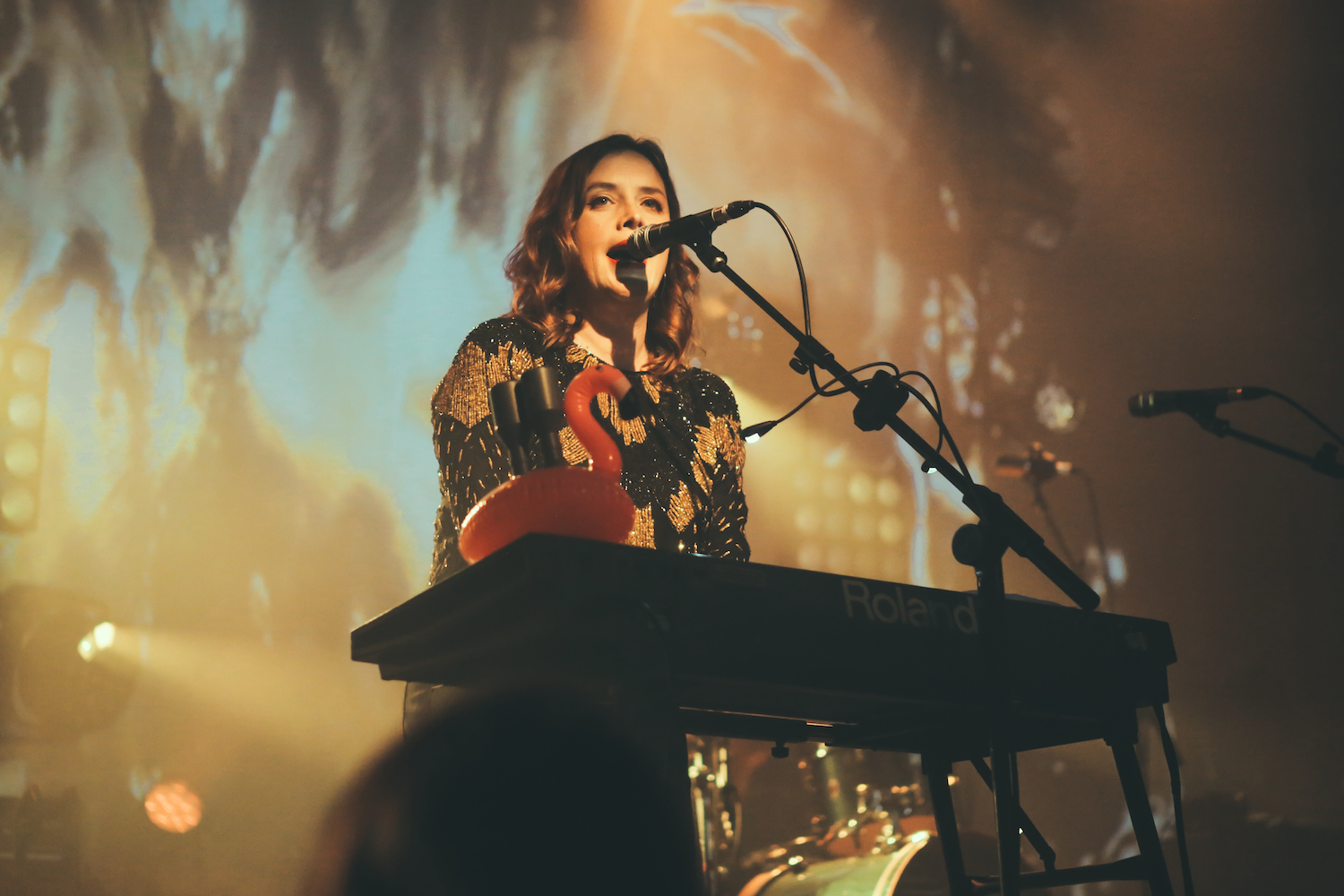 Slowdive Botanique Brussels 07102017 Sara Amroussi Gilissen25