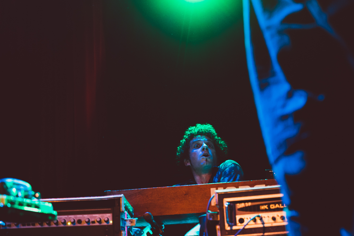 Swans at The Independent 02 by Ian Young