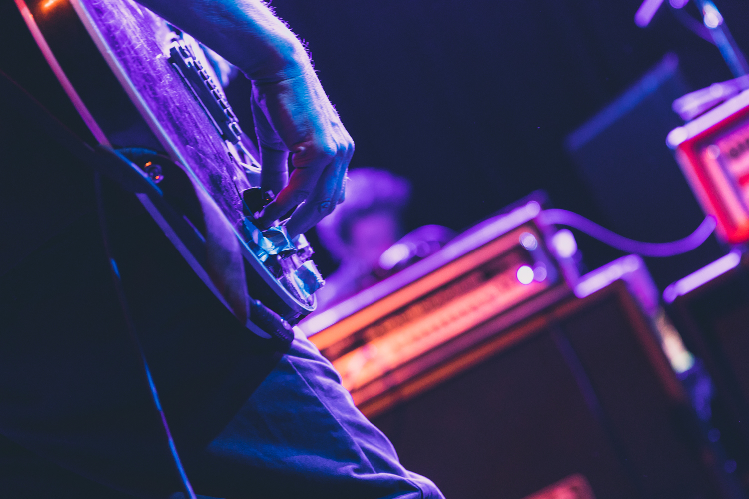 Swans at The Independent 10 by Ian Young