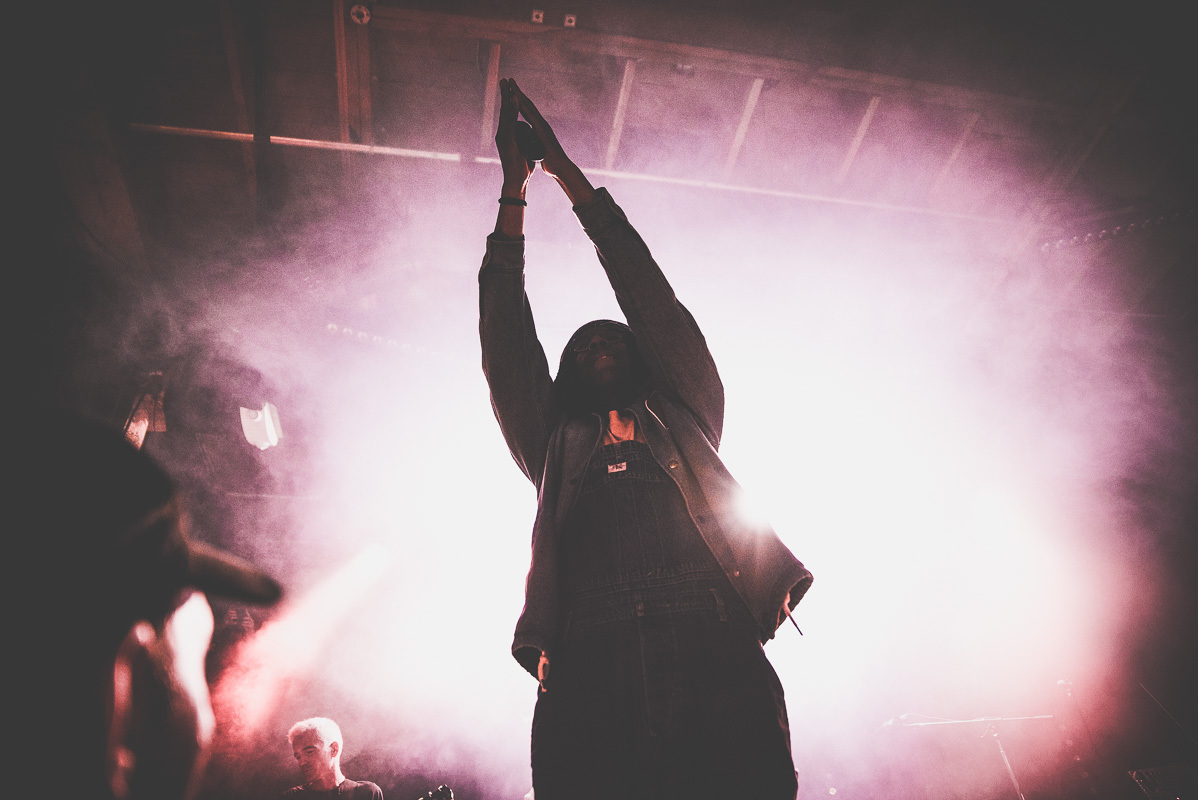 The Avalanches The Mezzanine San Francisco 041817 Erika Reinsel 4