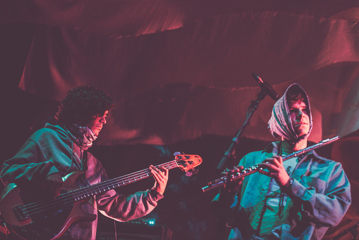 Bad Bad Not Good Desert Daze Institute Of Mentalphysics Joshua Tree 10 13 15 17 Erika Reinsel 15