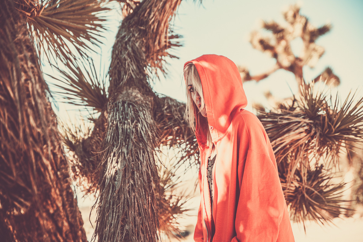 Emily Haines 2 Desert Daze Institute Of Mentalphysics Joshua Tree 10 13 15 17 Erika Reinsel 3