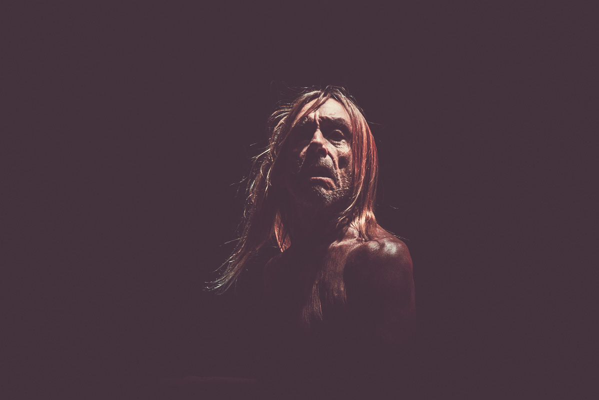 Iggy Pop 2 Desert Daze Institute Of Mentalphysics Joshua Tree 10 13 15 17 Erika Reinsel 47