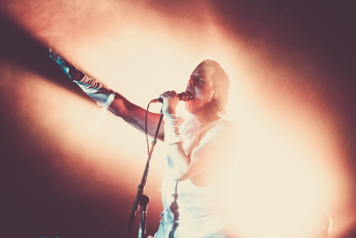 Liars 2 Desert Daze Institute Of Mentalphysics Joshua Tree 10 13 15 17 Erika Reinsel