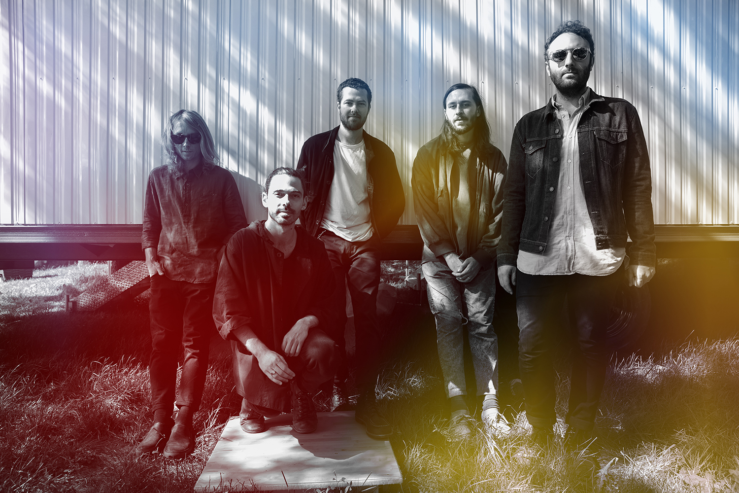 Local natives govball17 bc