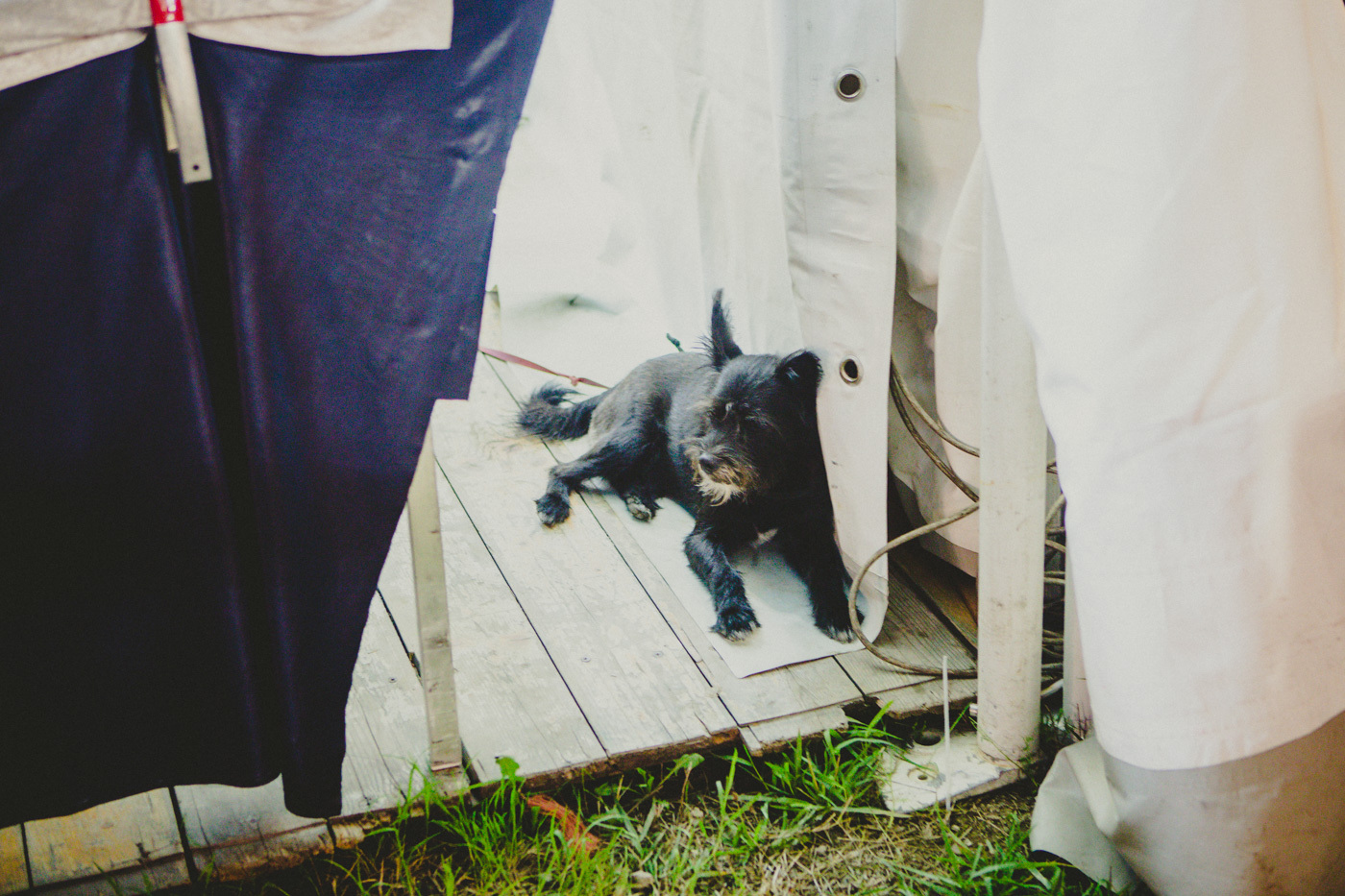 Home Festival 300817 Photoby Kimberley Ross 17