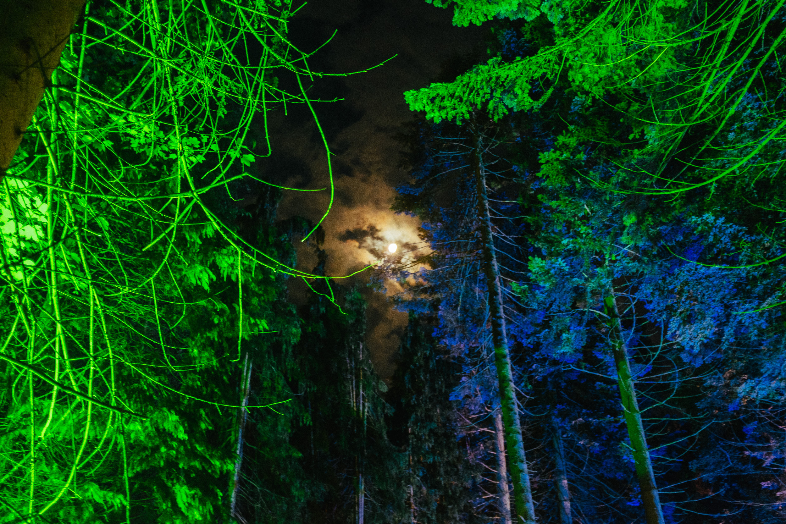 027 Houghton Festival Norfolk 10 6 16 Photo by Mike Massaro 027