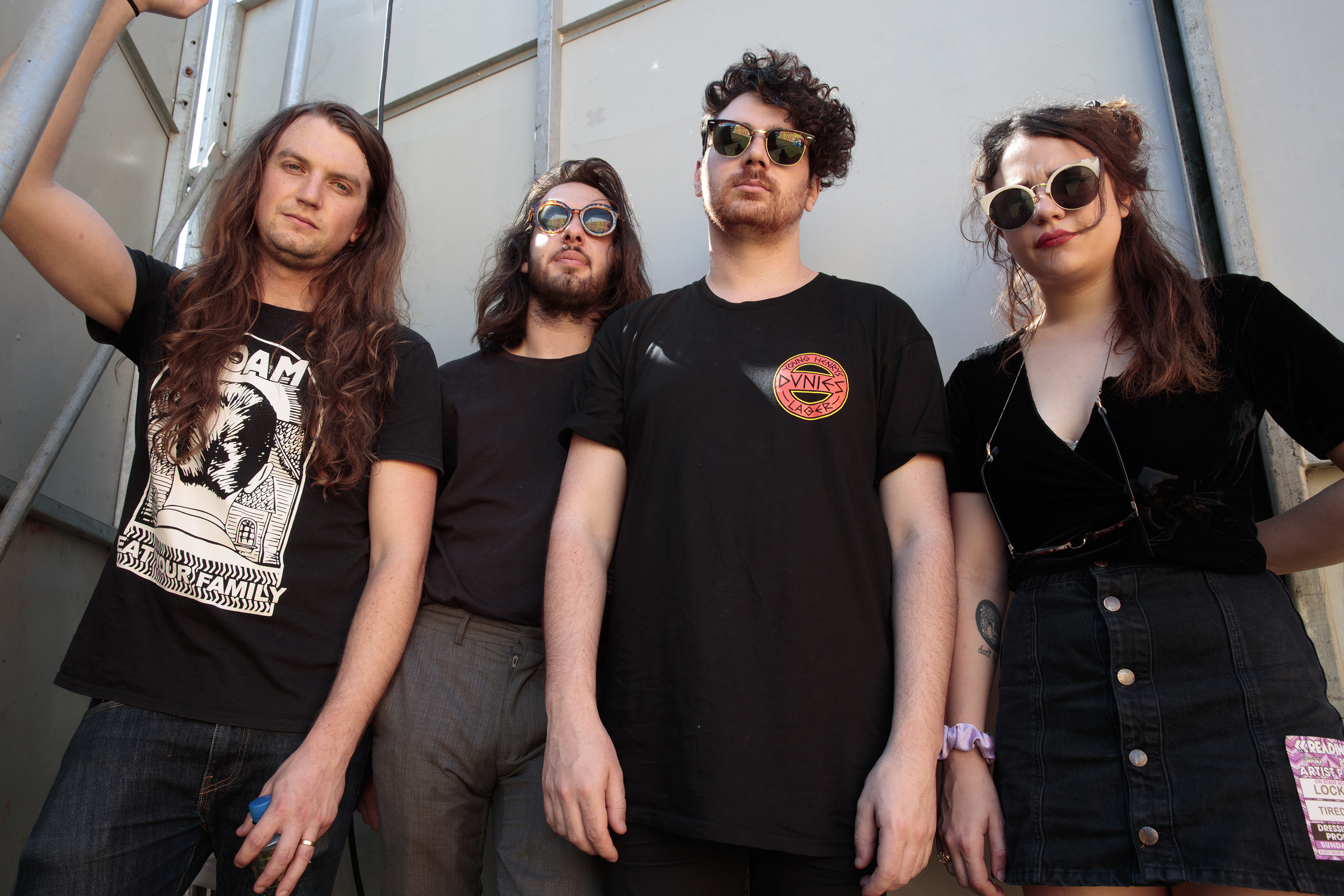 Portrait tired lion reading17 bc