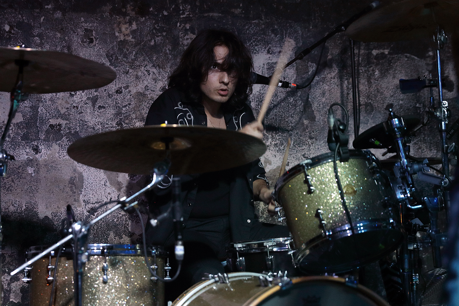 Wolf alice xoyo 31017 bc06