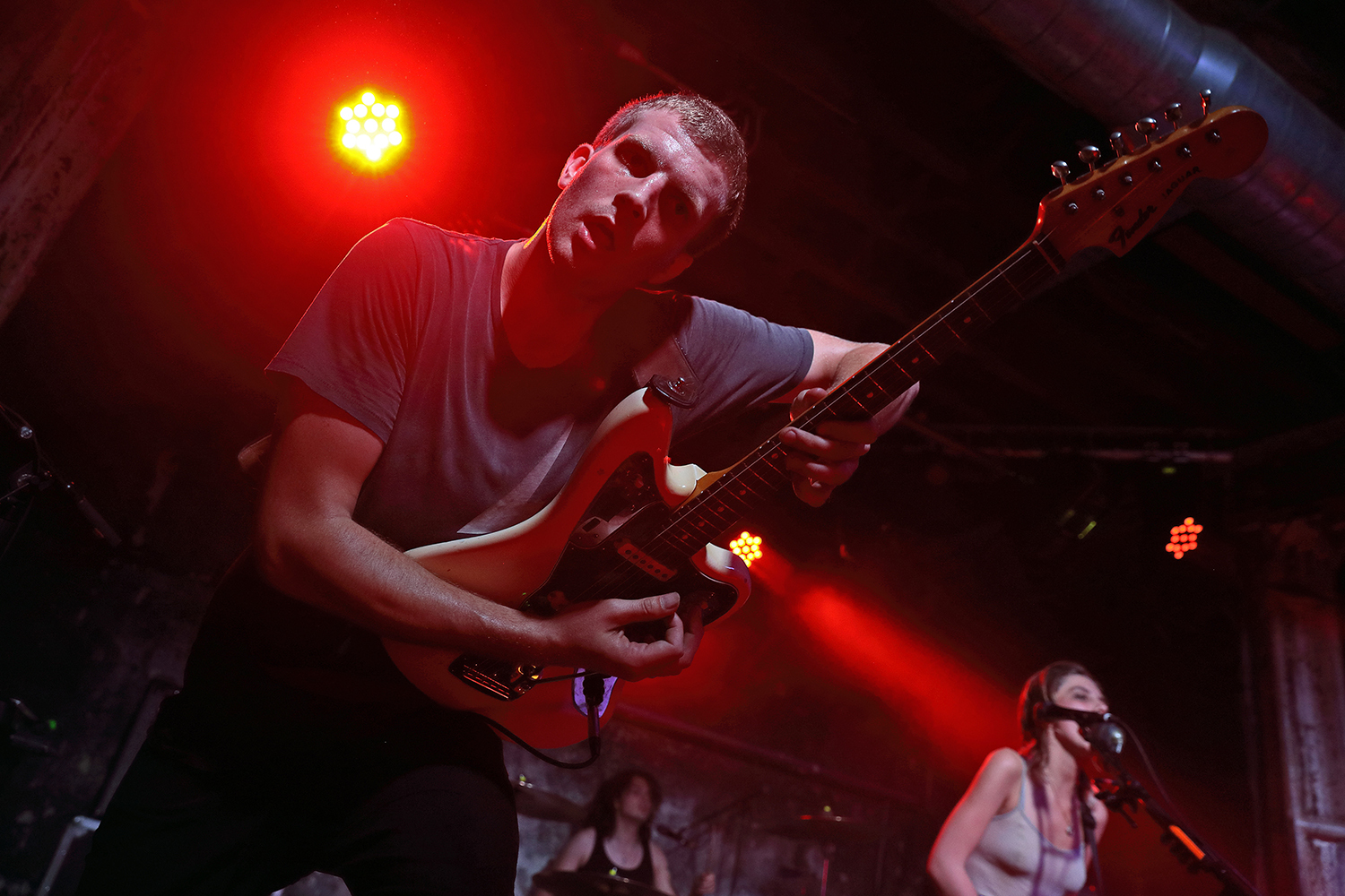 Wolf alice xoyo 31017 bc12