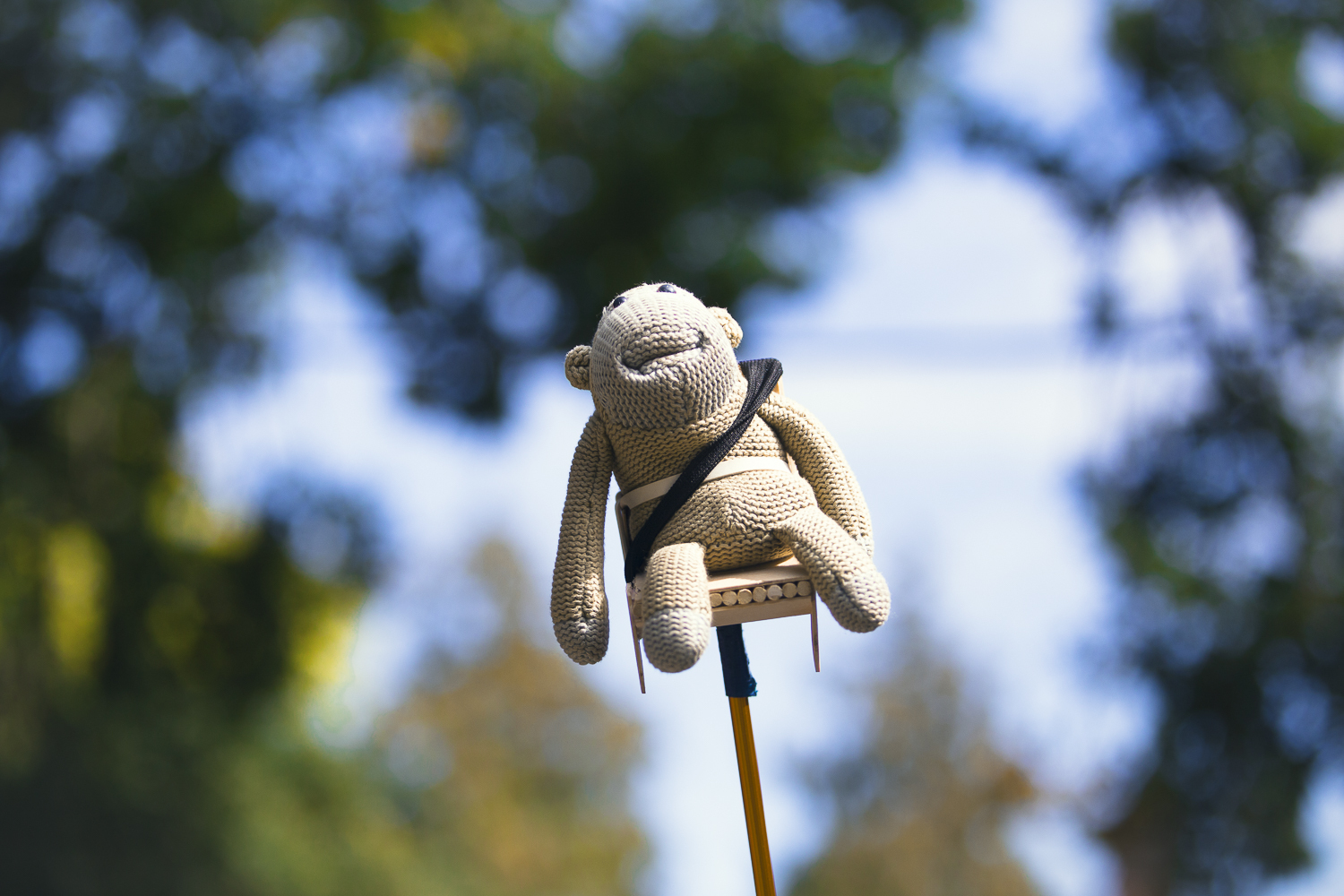 Crowd EOTR 2018 by Chris Almeida
