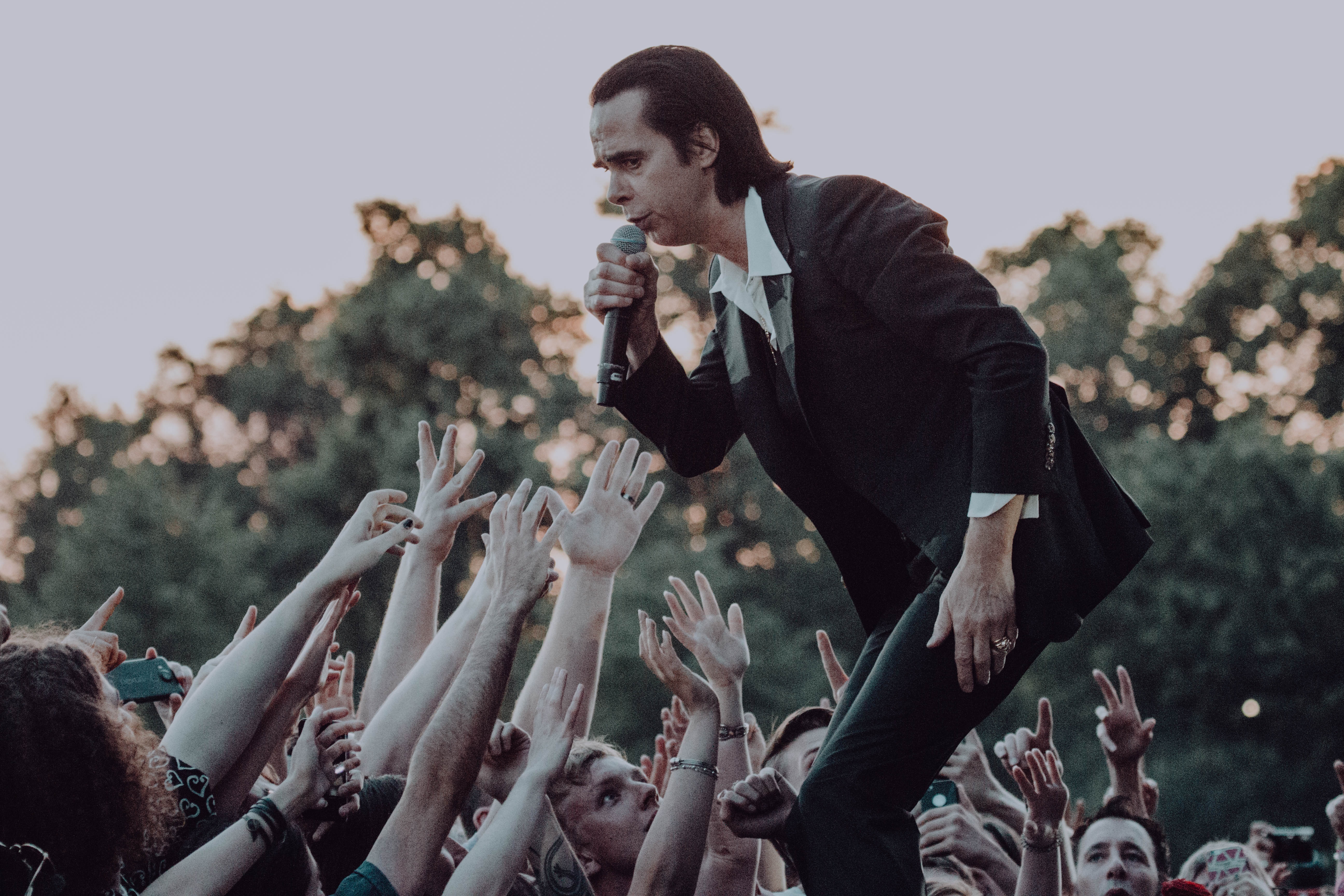 HOLLIE SHEPHERD Nick Cave