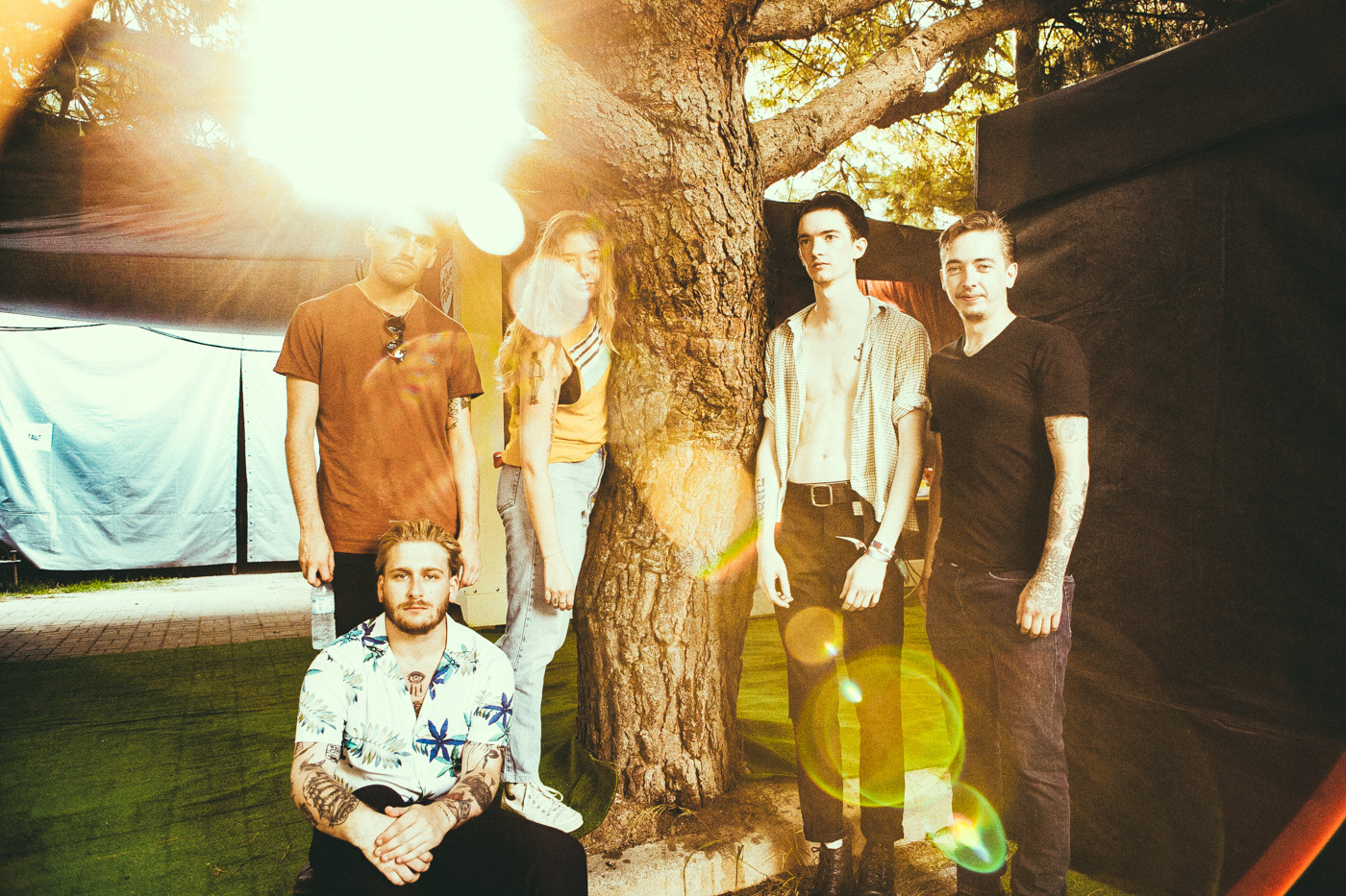 KR NOSALIVE18 493 MARMOZETS