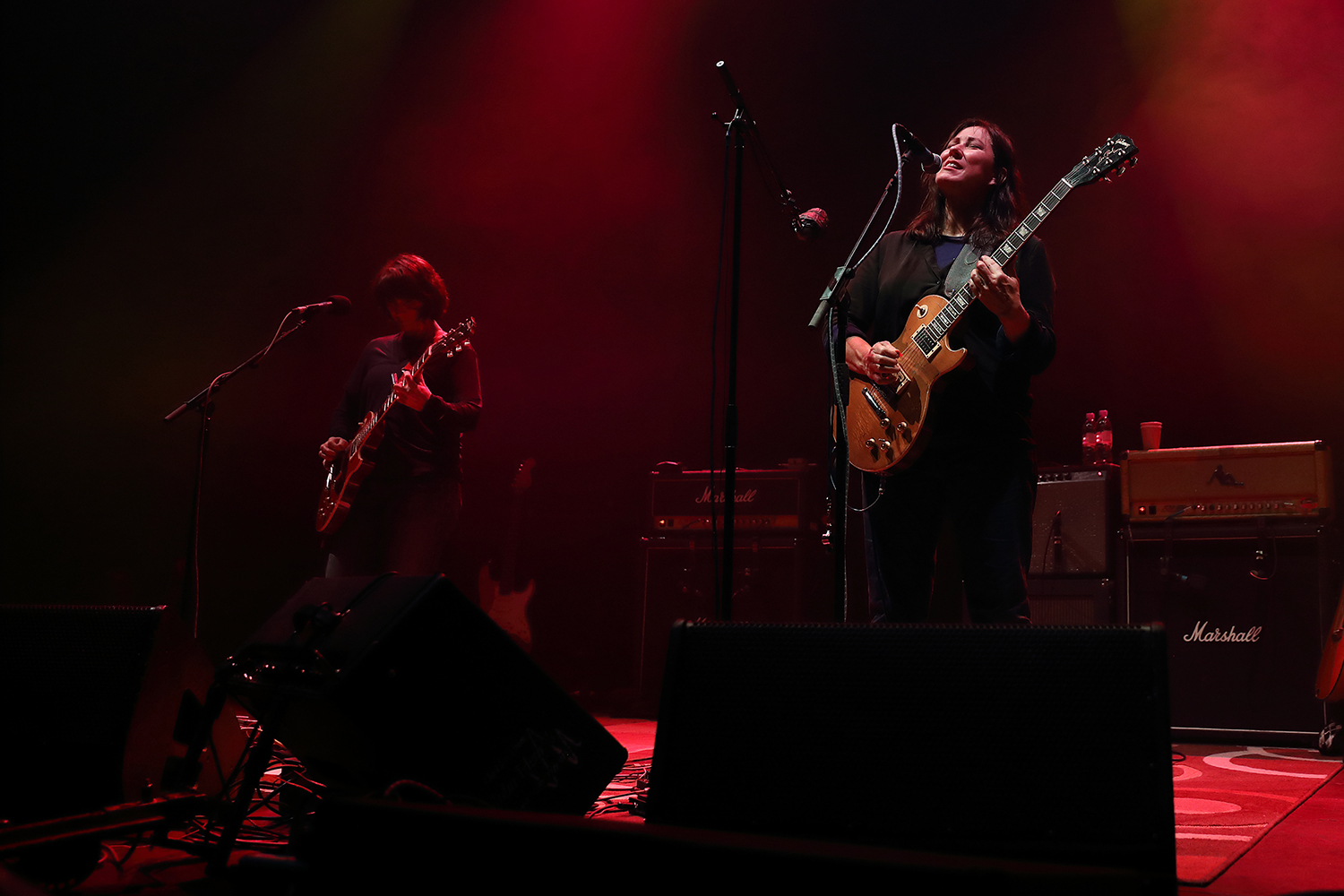 The breeders rnd518 bc10