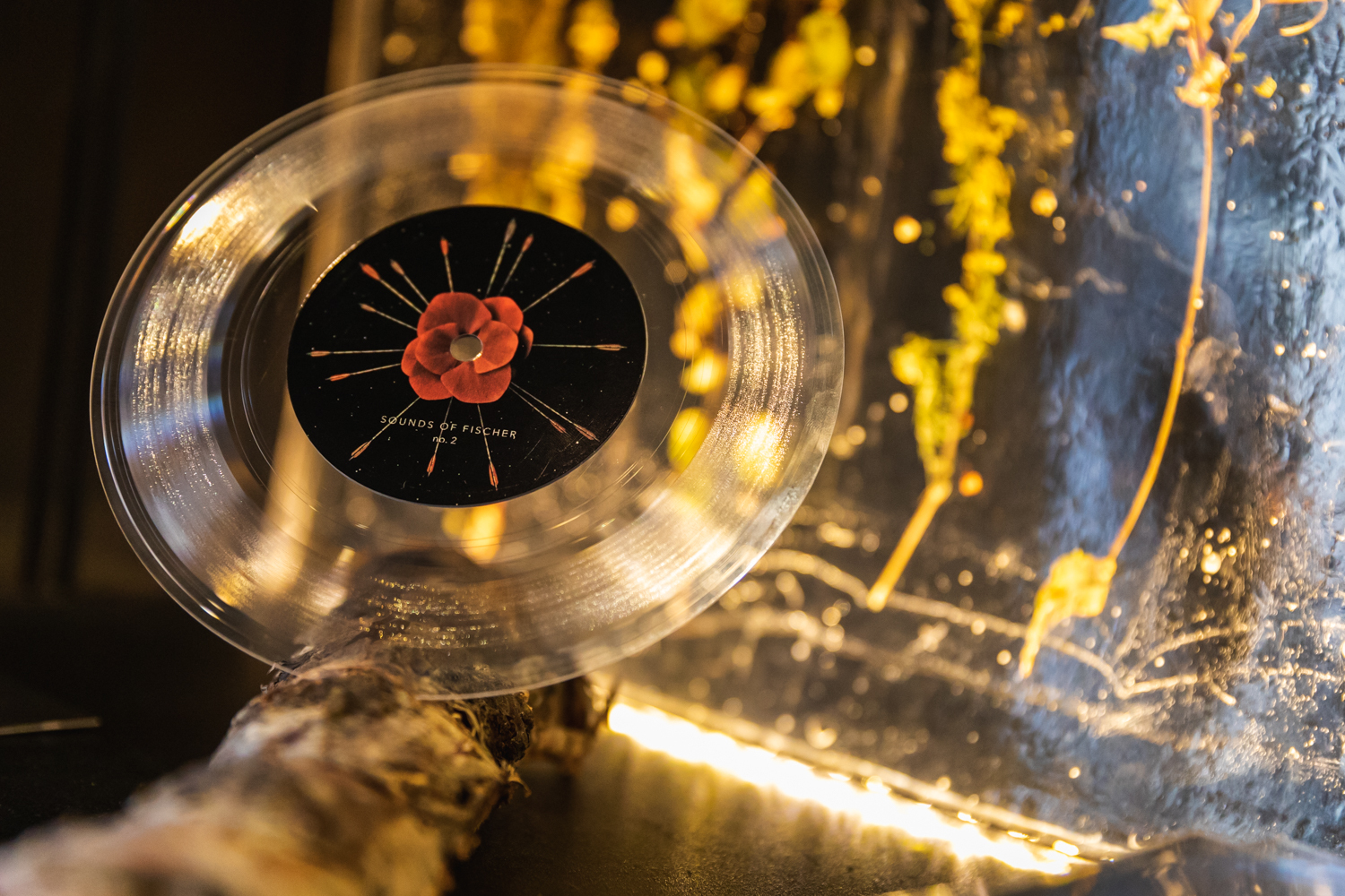 Fischer release party at Iceland Airwaves 2018 by Ian Young