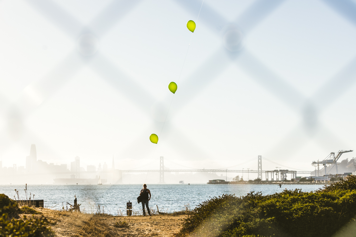 Crowd Treasure Island Music Festival2018 by Ian Young 06
