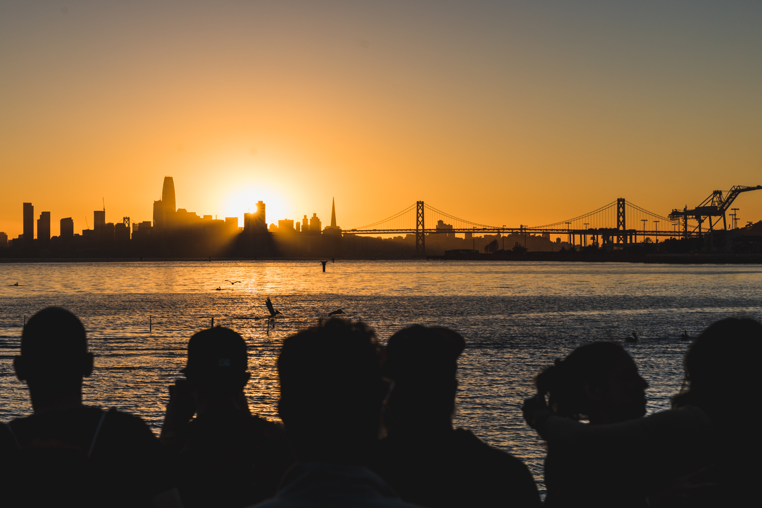 Crowd Treasure Island Music Festival2018 by Ian Young 16