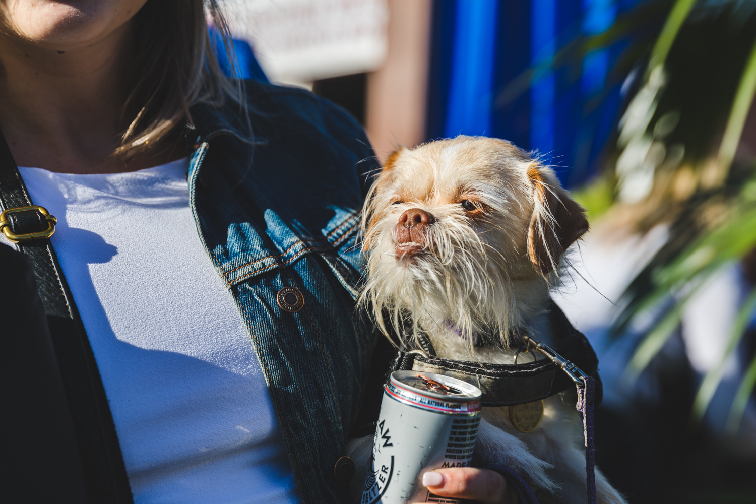 Clusterfest 2019 Pupsterfest Ian Young