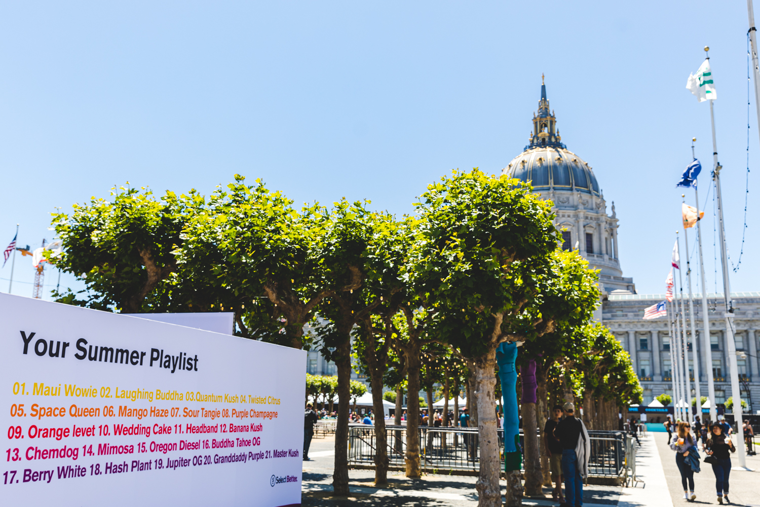 Clusterfest 2019 Summer playlist Ian Young