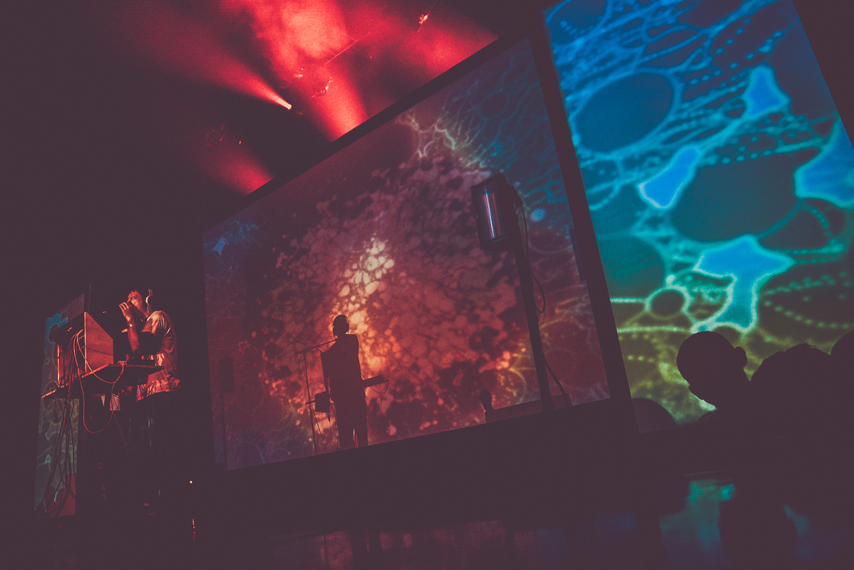 Panda Bear The Regency Ballroom San Francisco 022019 Erika Reinsel 3