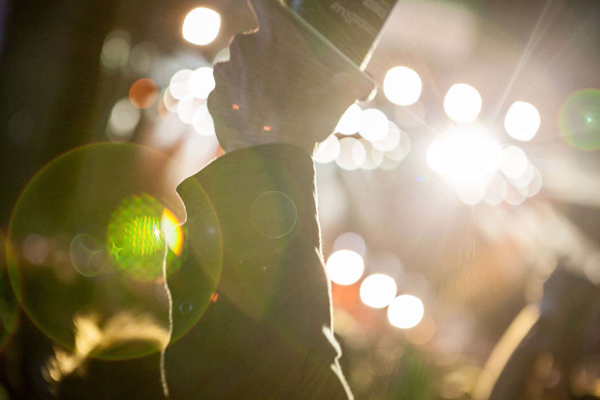 Popload Chris Almeida 34