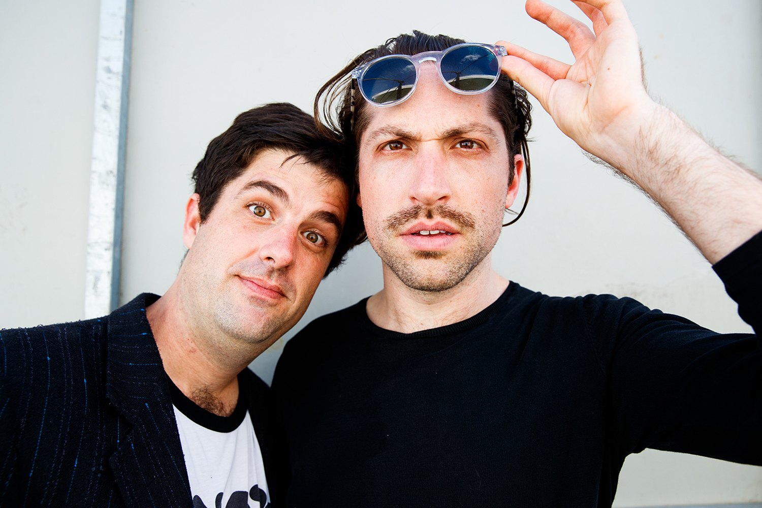 Mini mansions portrait