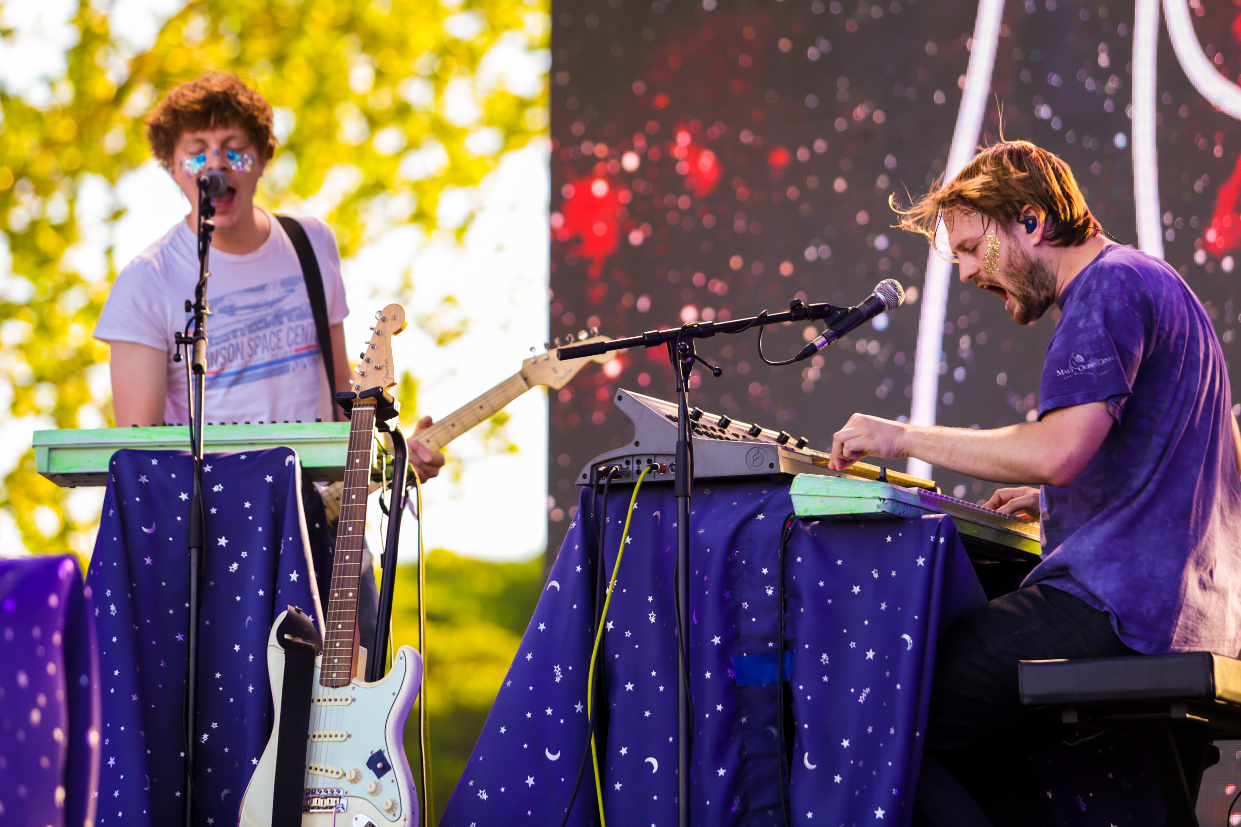 Superorganism 23 of 35