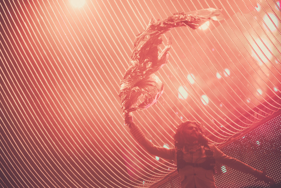 The Flaming Lips Desert Daze Lake Perris CA 10 11 13 19 Erika Reinsel 15