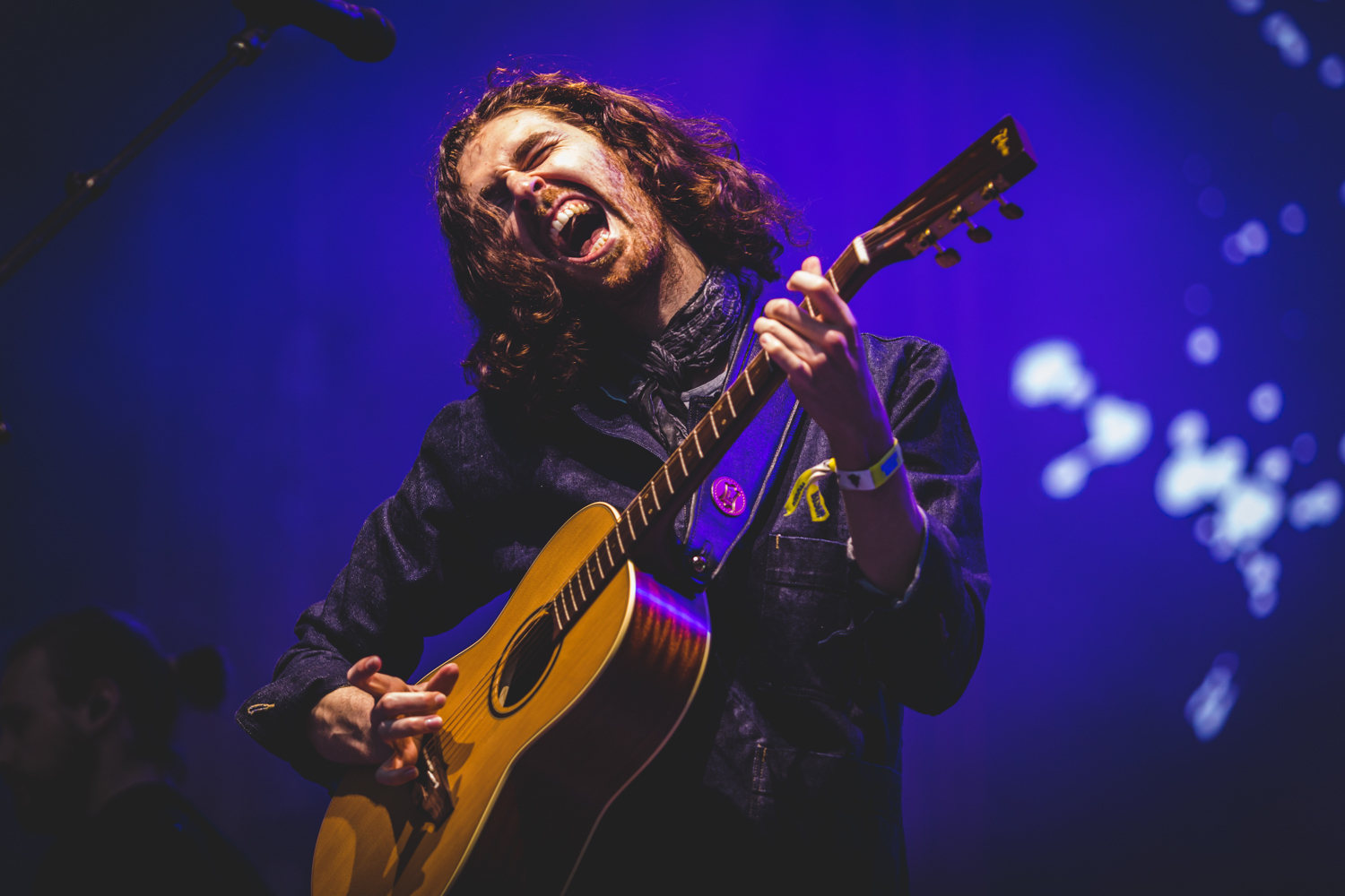 Outside Lands 2019 08 Hozier Ian Young