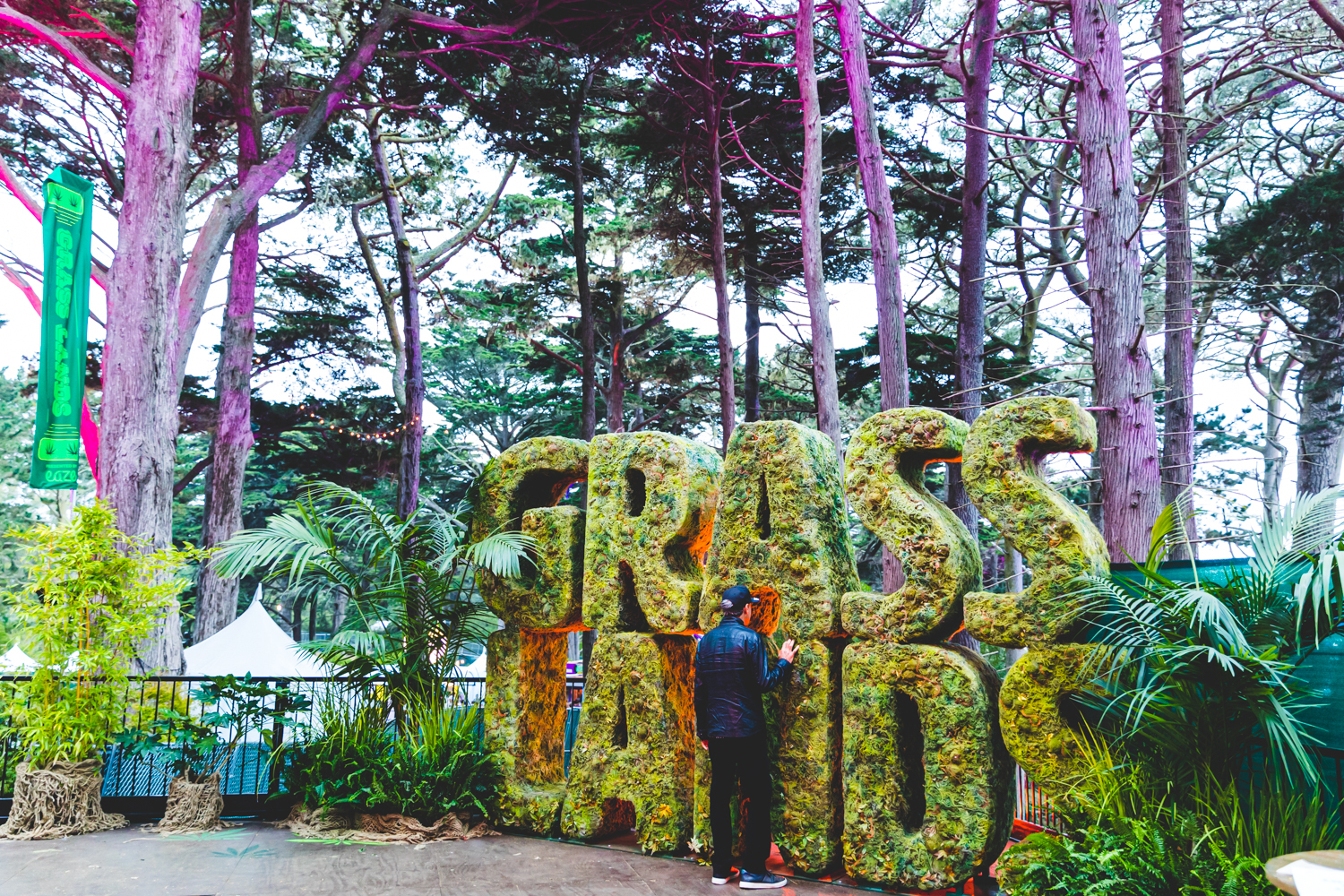 Outside Lands 2019 14 Grass Lands Ian Young