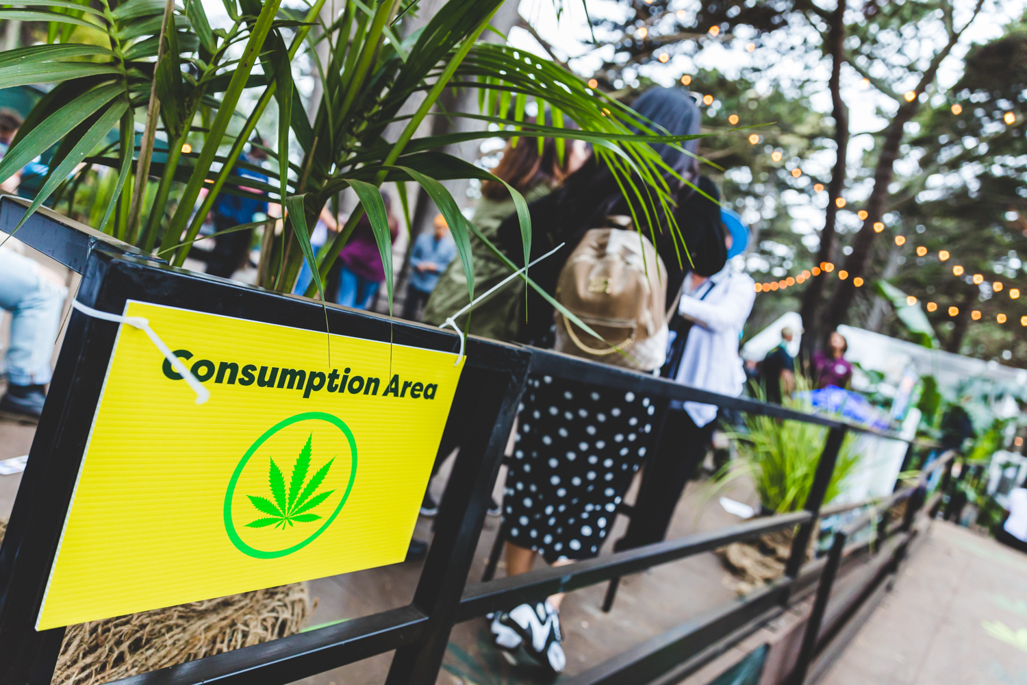 Outside Lands 2019 15 Grass Lands Ian Young