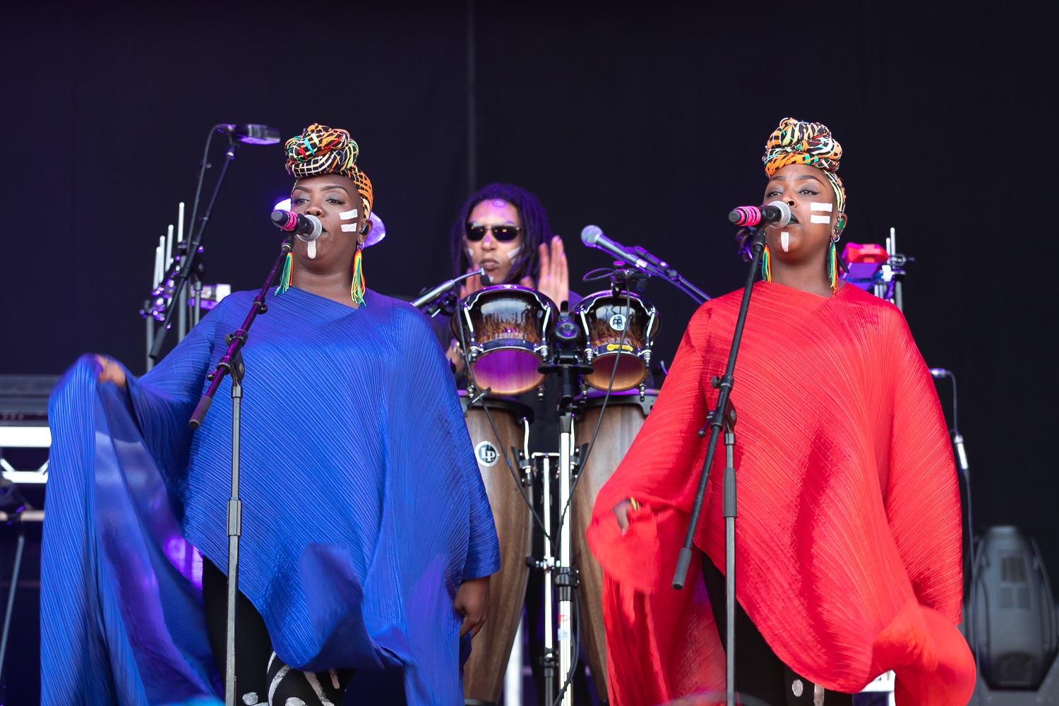 Grace Jones The Downs Festival 2019 Jan Rijk IMG 1054