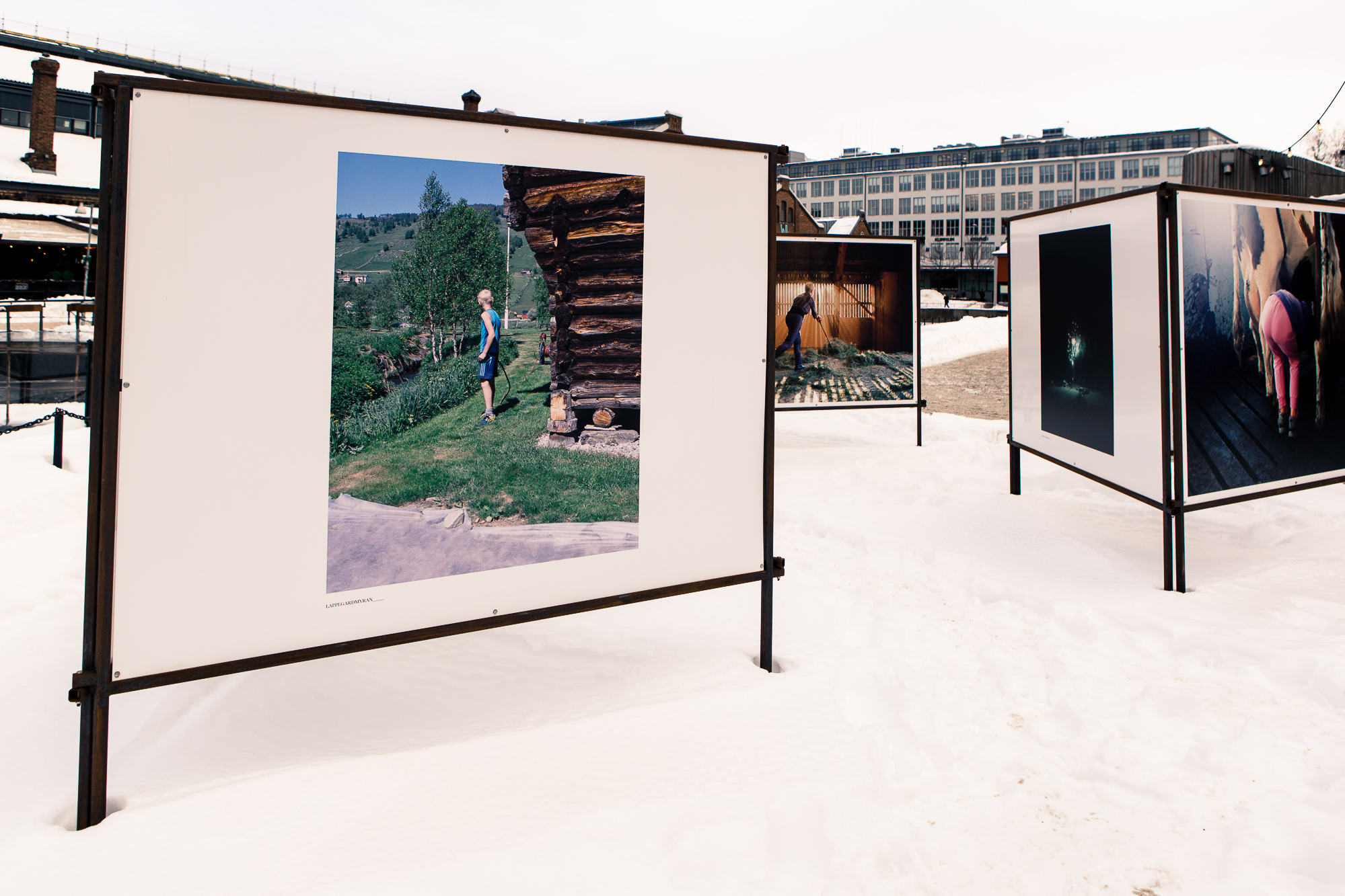 Trondheim Calling 29 Chris Almeida