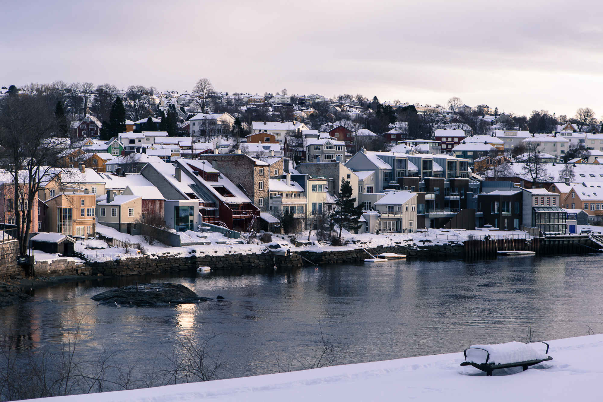 Trondheim Calling 37 Chris Almeida