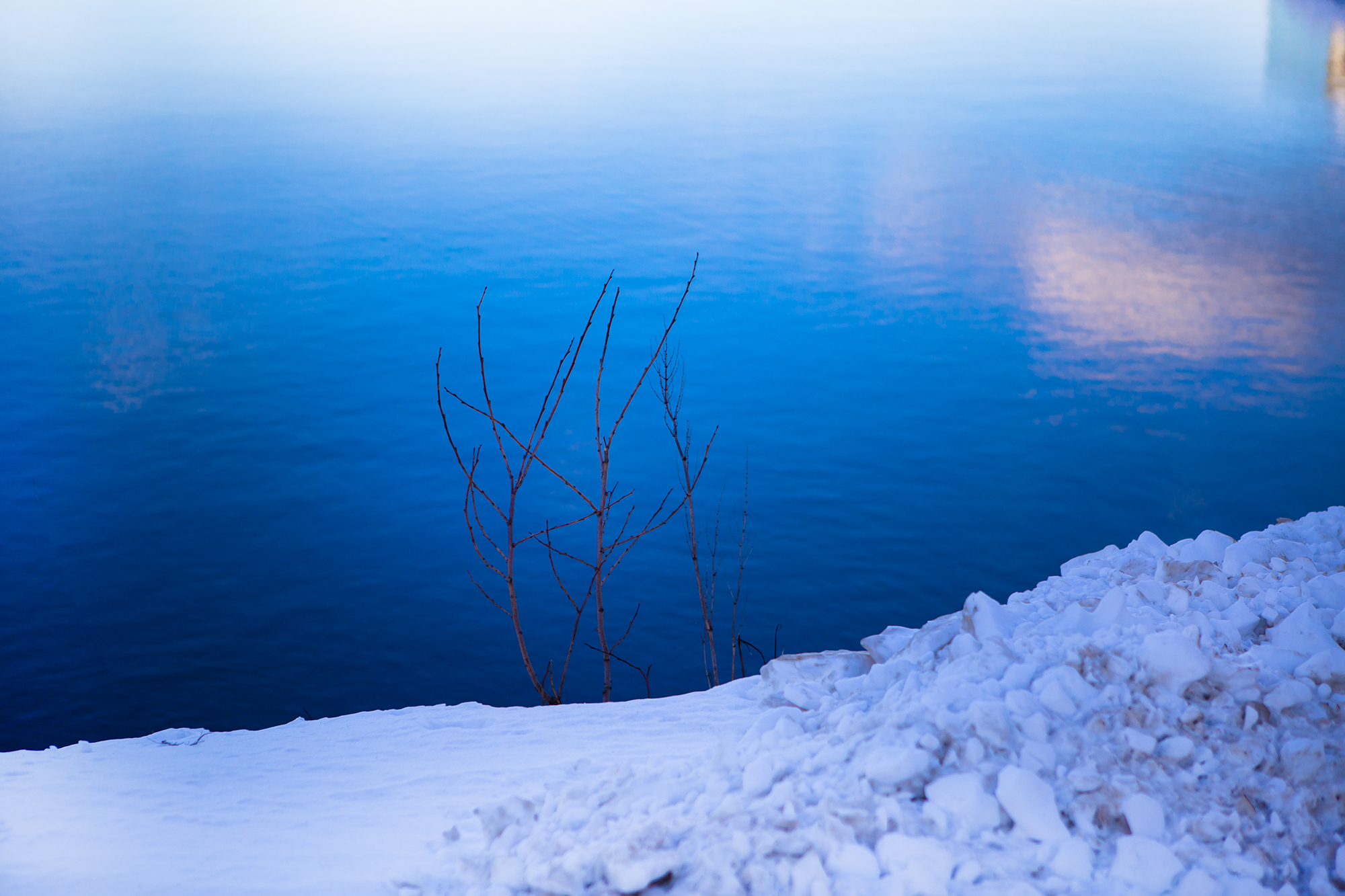 Trondheim Calling 48 Chris Almeida