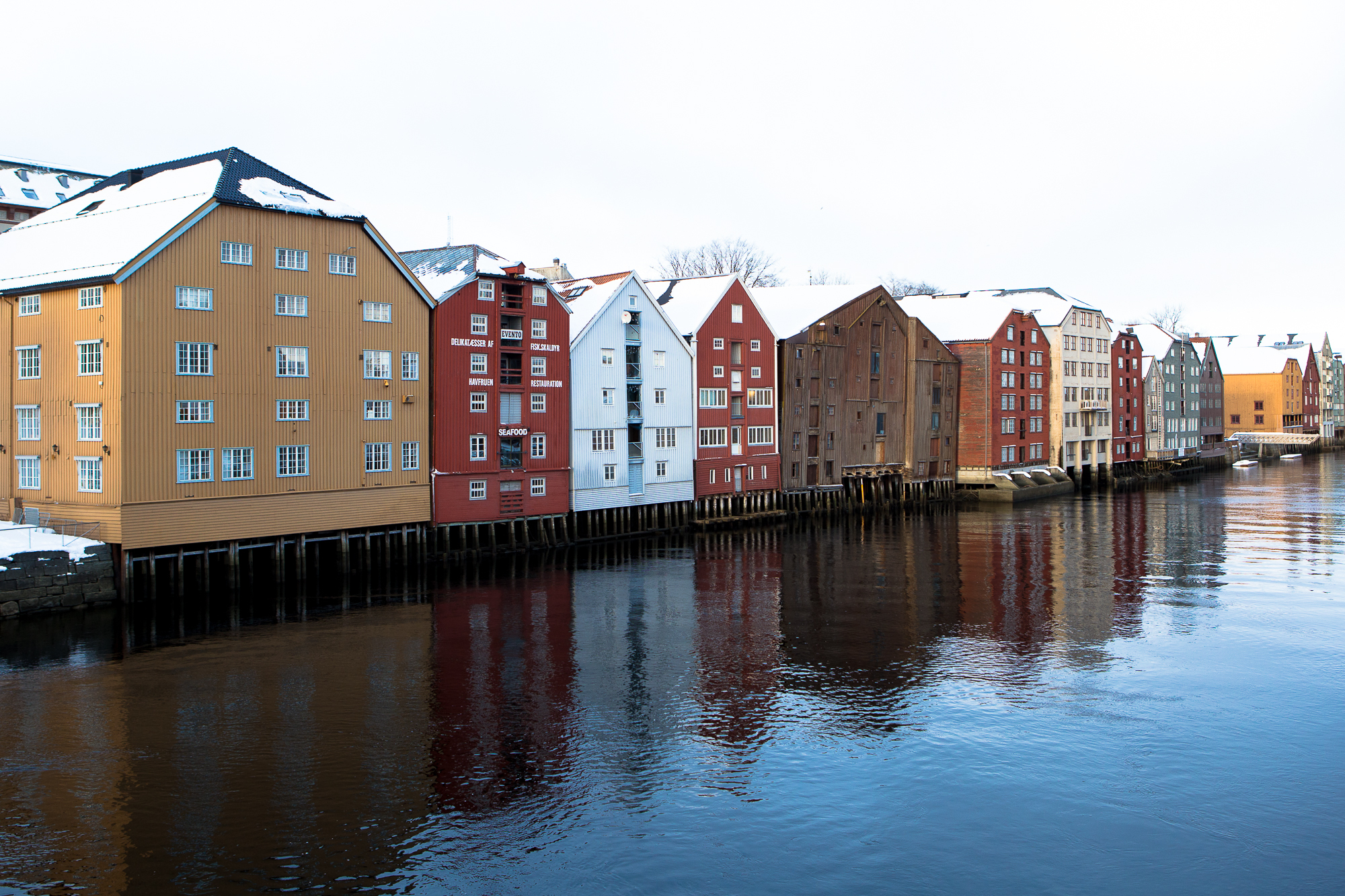 Trondheim Calling 50 Chris Almeida