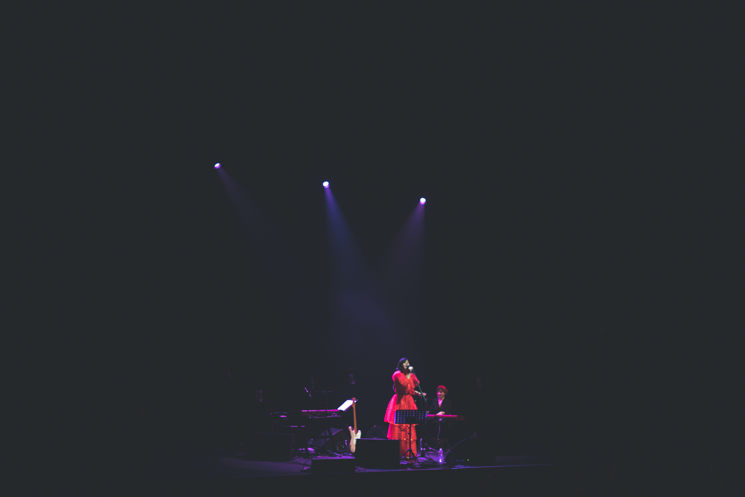 Bat for Lashes Palace of Fine Arts San Francisco 021320 Ian Young 10