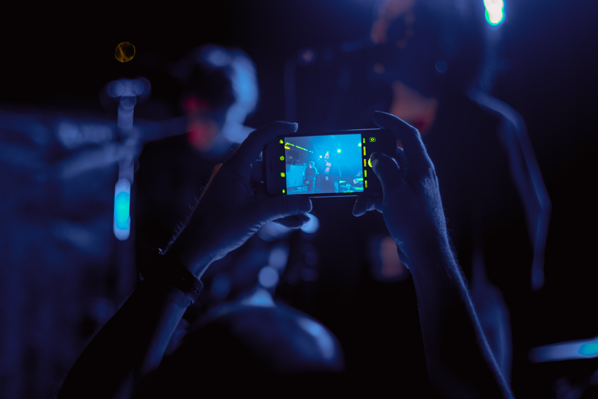 Just Mustard at Five Day Forecast 2020 by Parri Thomas web 003